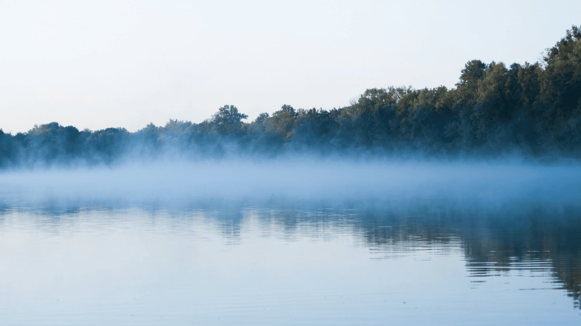 Ein ruhiger See mit einer über dem Wasser schwebenden Nebelschicht, umgeben von dichten Bäumen unter einem blassen Himmel. Die Szene ist heiter und ruhig, mit sanften Reflexionen auf der Wasseroberfläche.