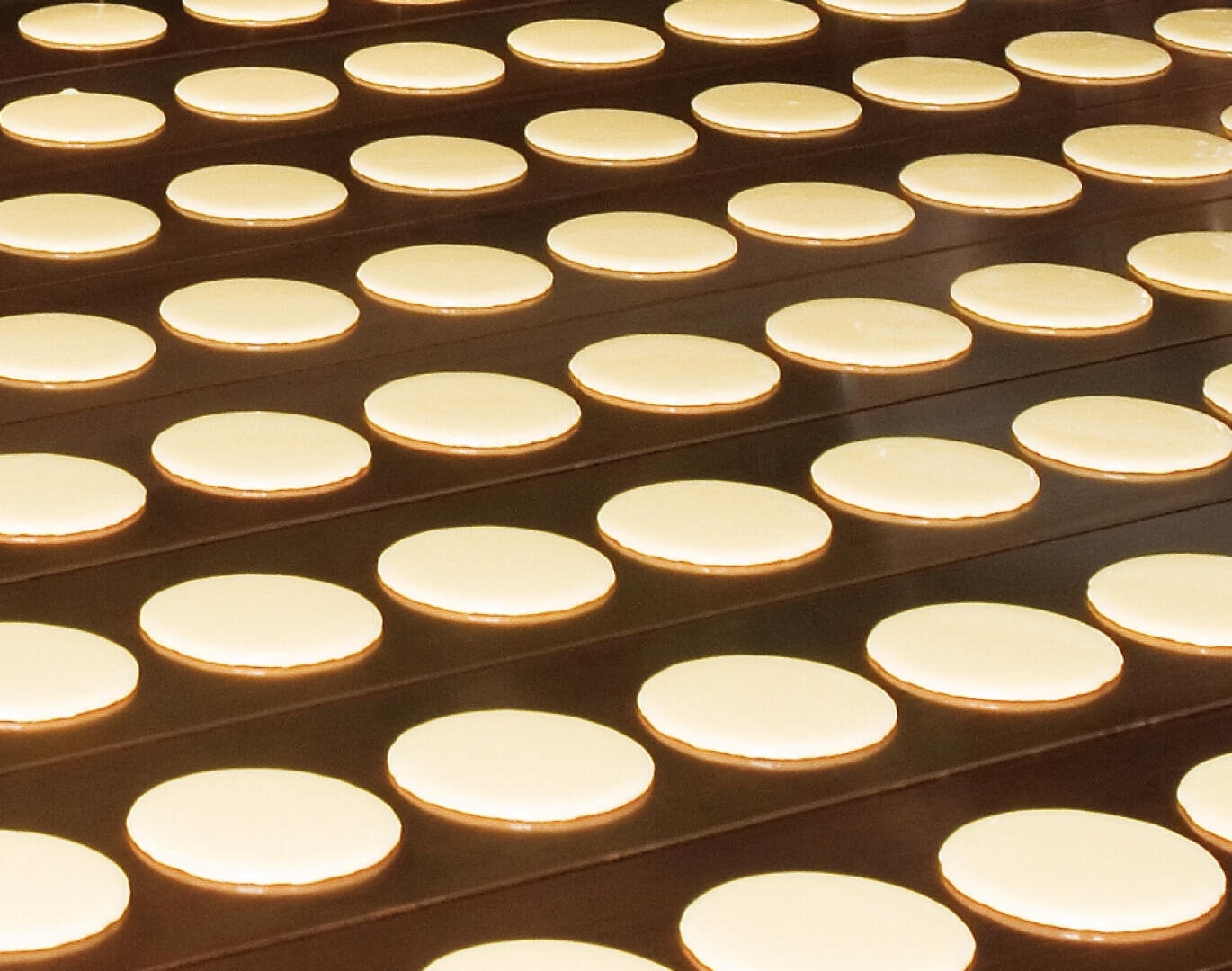 Rows of uniformly spaced, round, light-colored dough circles on a dark conveyor belt, likely in a factory or bakery production line.