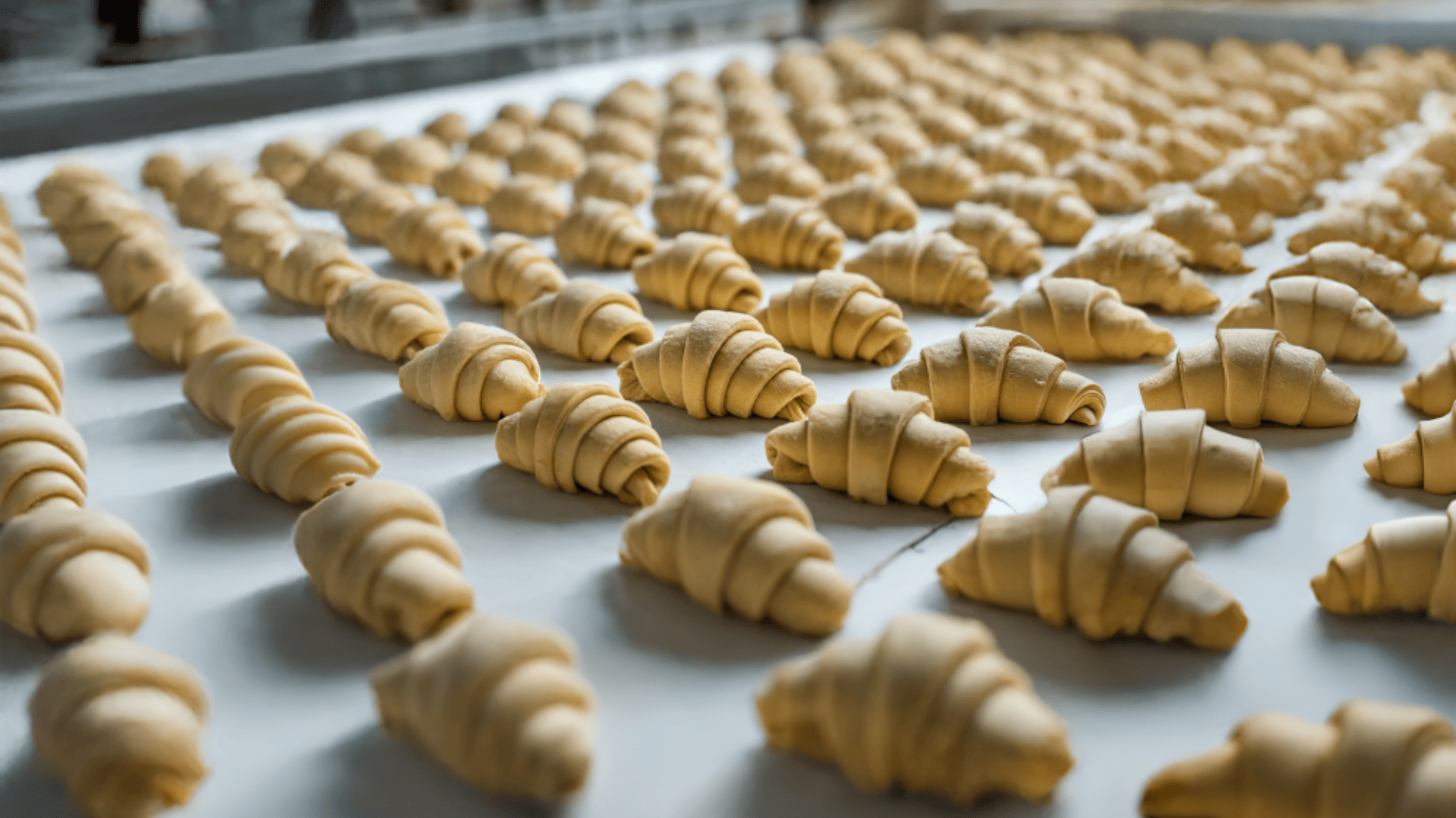 Rows of unbaked croissants are neatly arranged on a large surface, ready for baking in a commercial bakery setting.