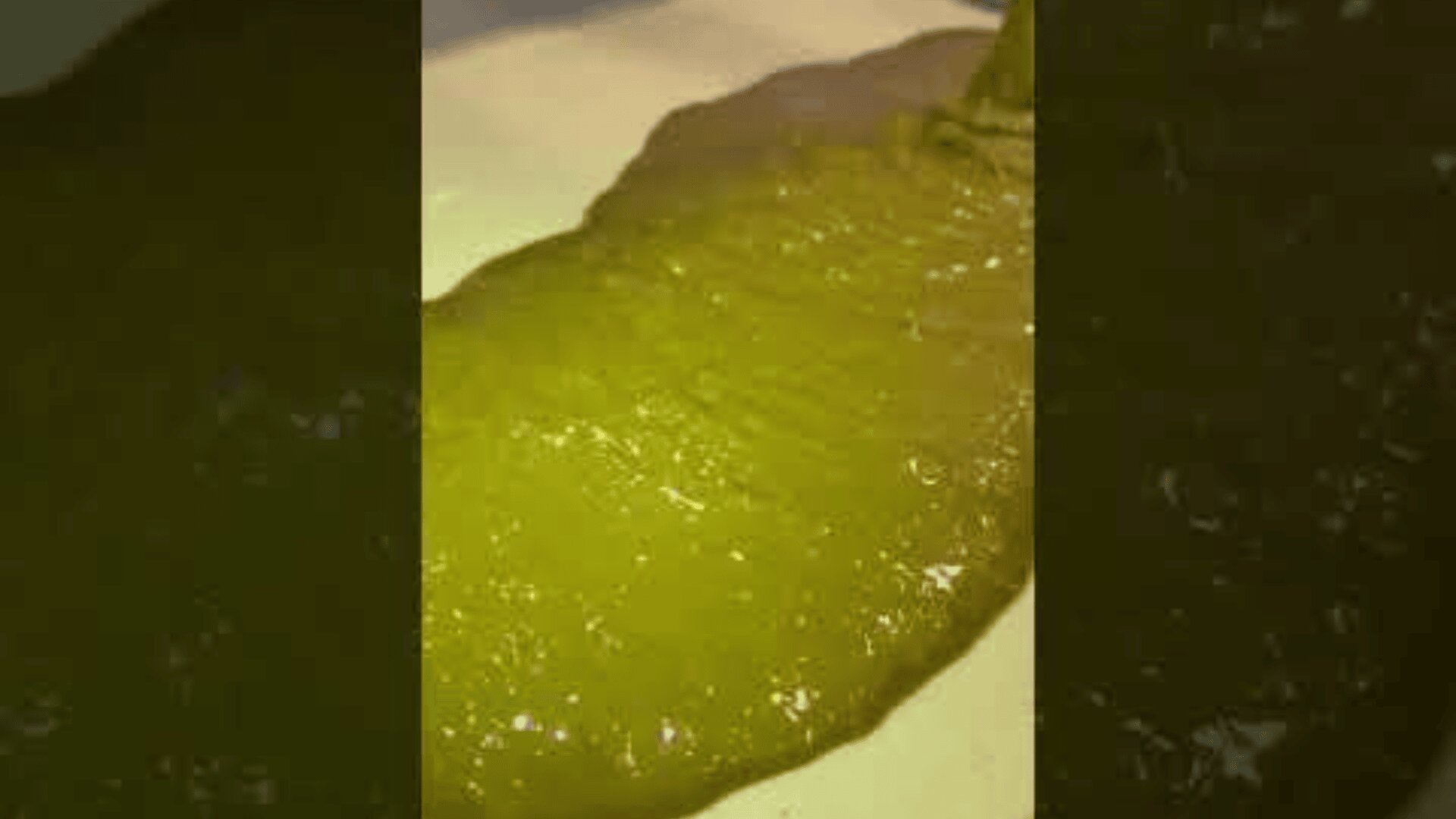 Eine dicke, glänzend grüne Flüssigkeit wird auf eine flache weiße Oberfläche gegossen, wodurch eine glatte, ausgebreitete Schicht entsteht.