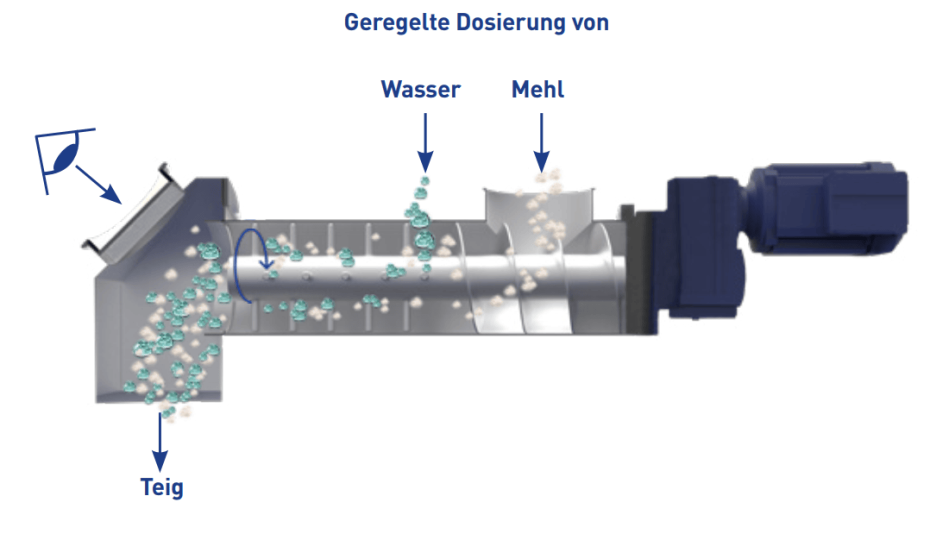 Das Diagramm einer Teigknetmaschine zeigt die kontrollierte Dosierung von Wasser und Mehl in eine Förderschnecke, wobei beschriftete Pfeile die Eingänge anzeigen: Teig (Teig), Wasser (Wasser) und Mehl (Mehl).