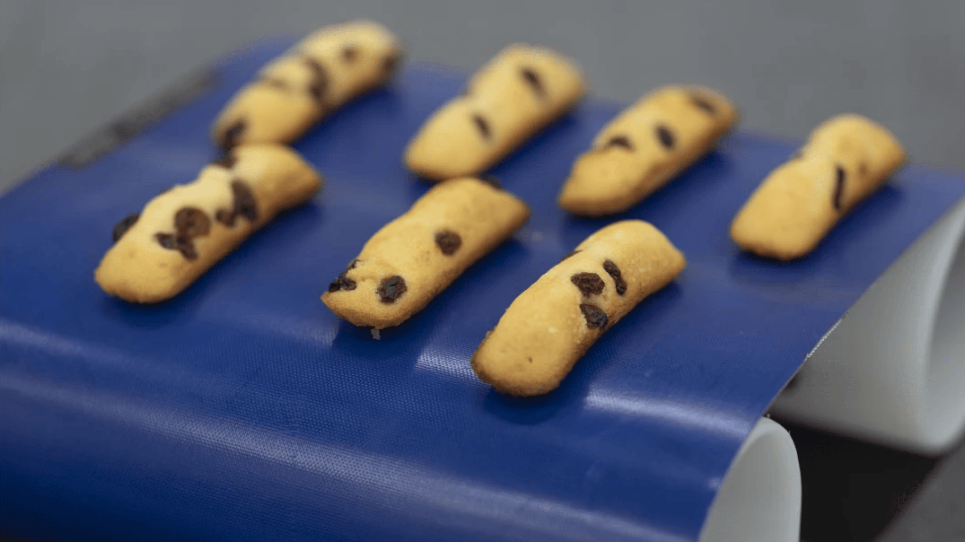 Mehrere kleine, rechteckige Kekse mit Schokoladensplittern sind in zwei Reihen auf einem blauen Förderband angeordnet, wahrscheinlich in einer Bäckerei oder einer Produktionsstätte.