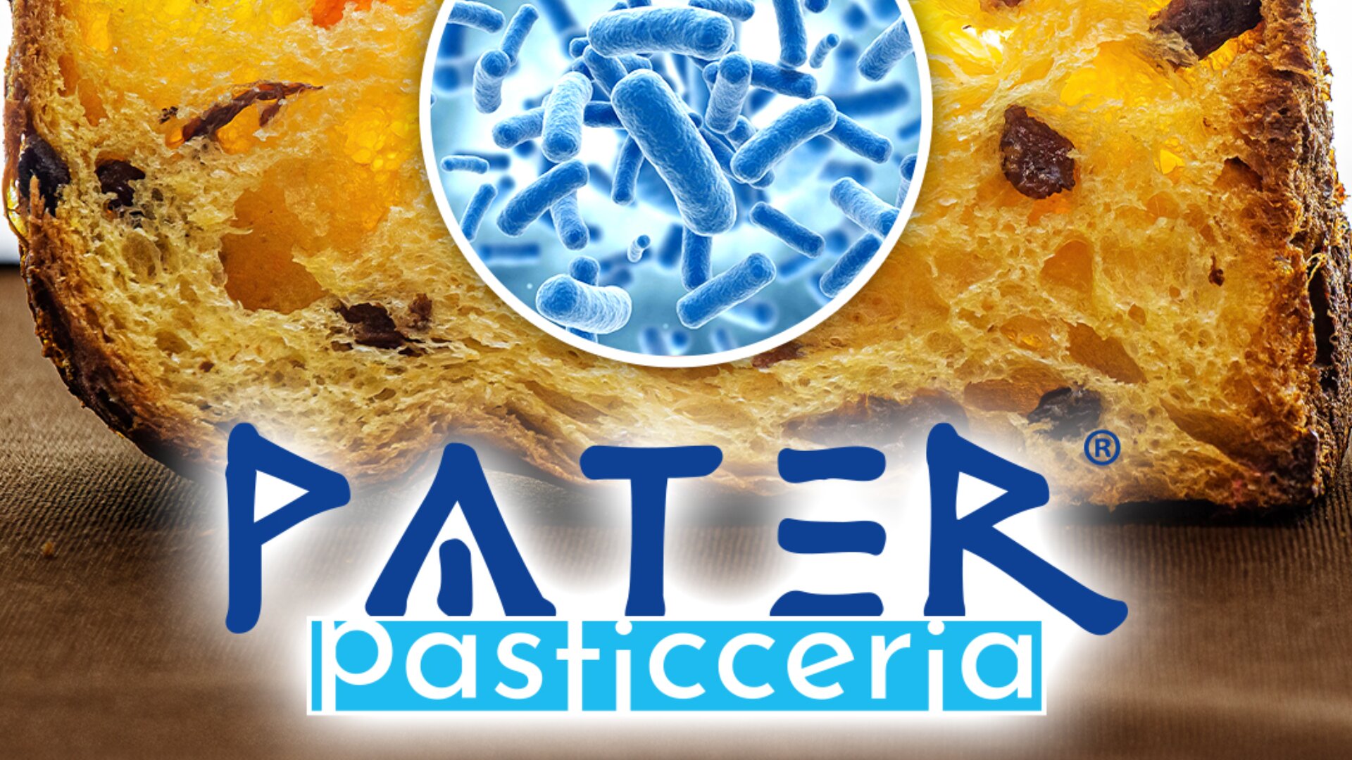 A close-up of a slice of panettone with chocolate chips, featuring the text Pater Pasticceria in bold blue letters and a magnified image of bacteria above the text.