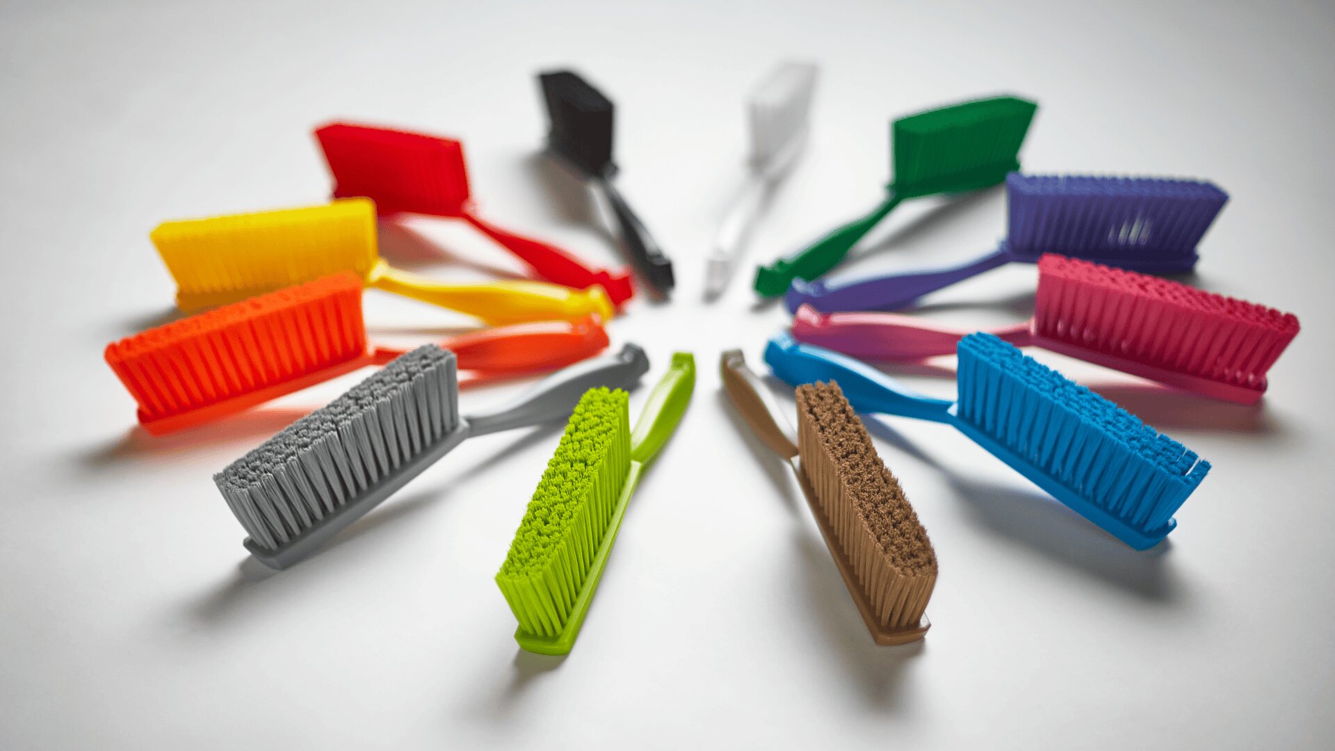 Twelve colorful toothbrushes arranged in a circle with their bristles facing inward, displayed on a white background.