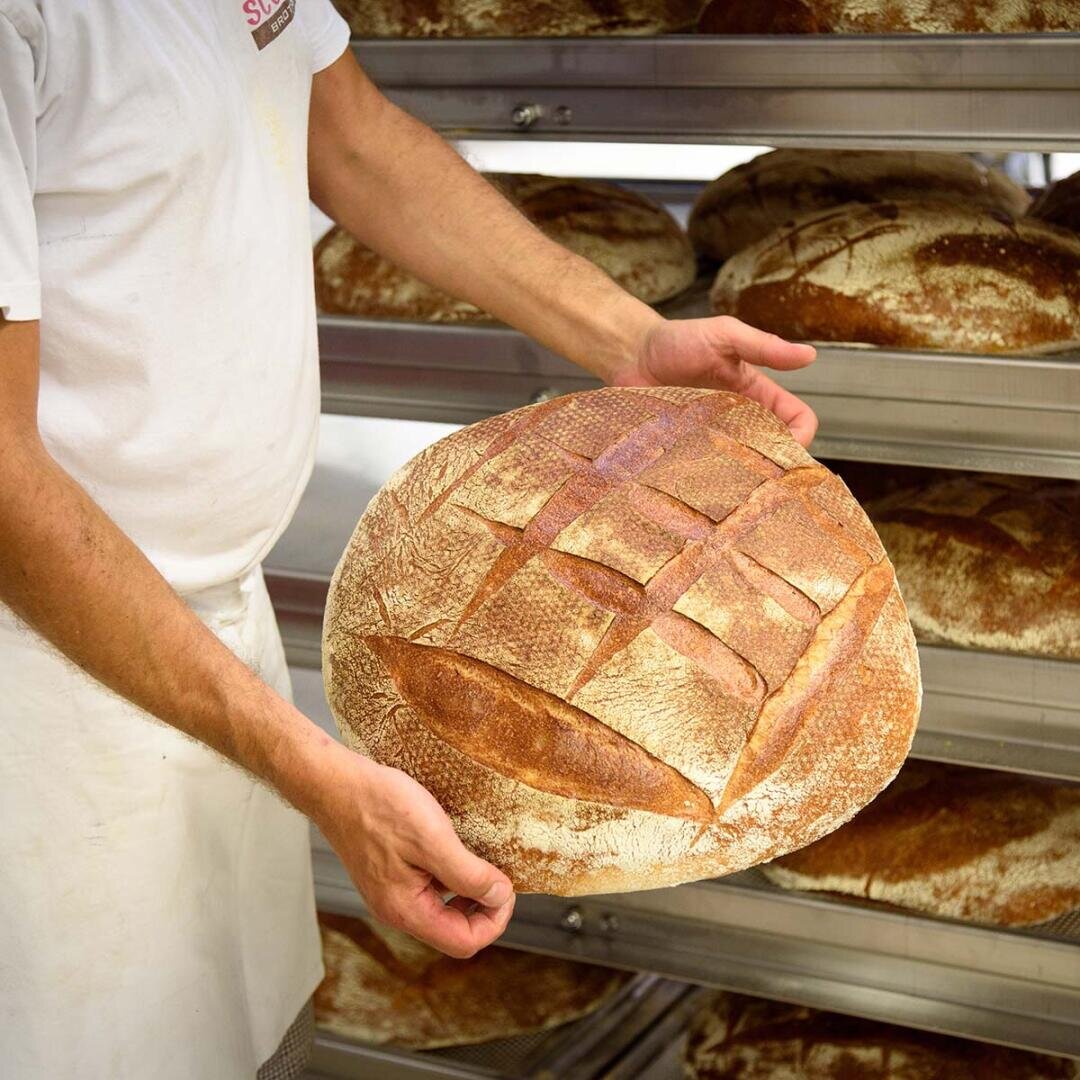 Eine Person in weißem Hemd und Schürze hält einen großen, runden Laib rustikalen Brotes mit kreuzschraffierter Kruste in der Hand. Mehrere ähnliche Brote sind auf Metallgestellen im Hintergrund zu sehen.