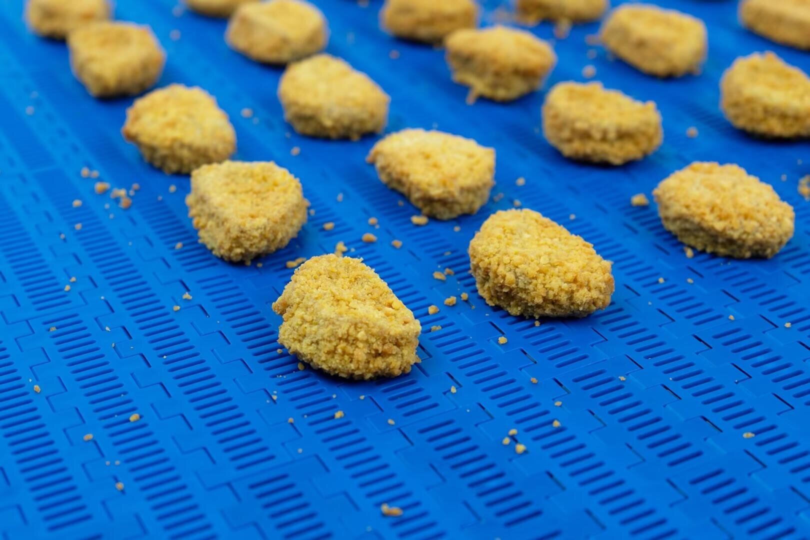 Chicken Nuggets liegen verteilt auf einem blauen Förderband, vermutlich in einer Lebensmittelverarbeitungs- oder Produktionsanlage. Die panierten und ungebackenen Nuggets sind in Reihen über das Band verteilt.