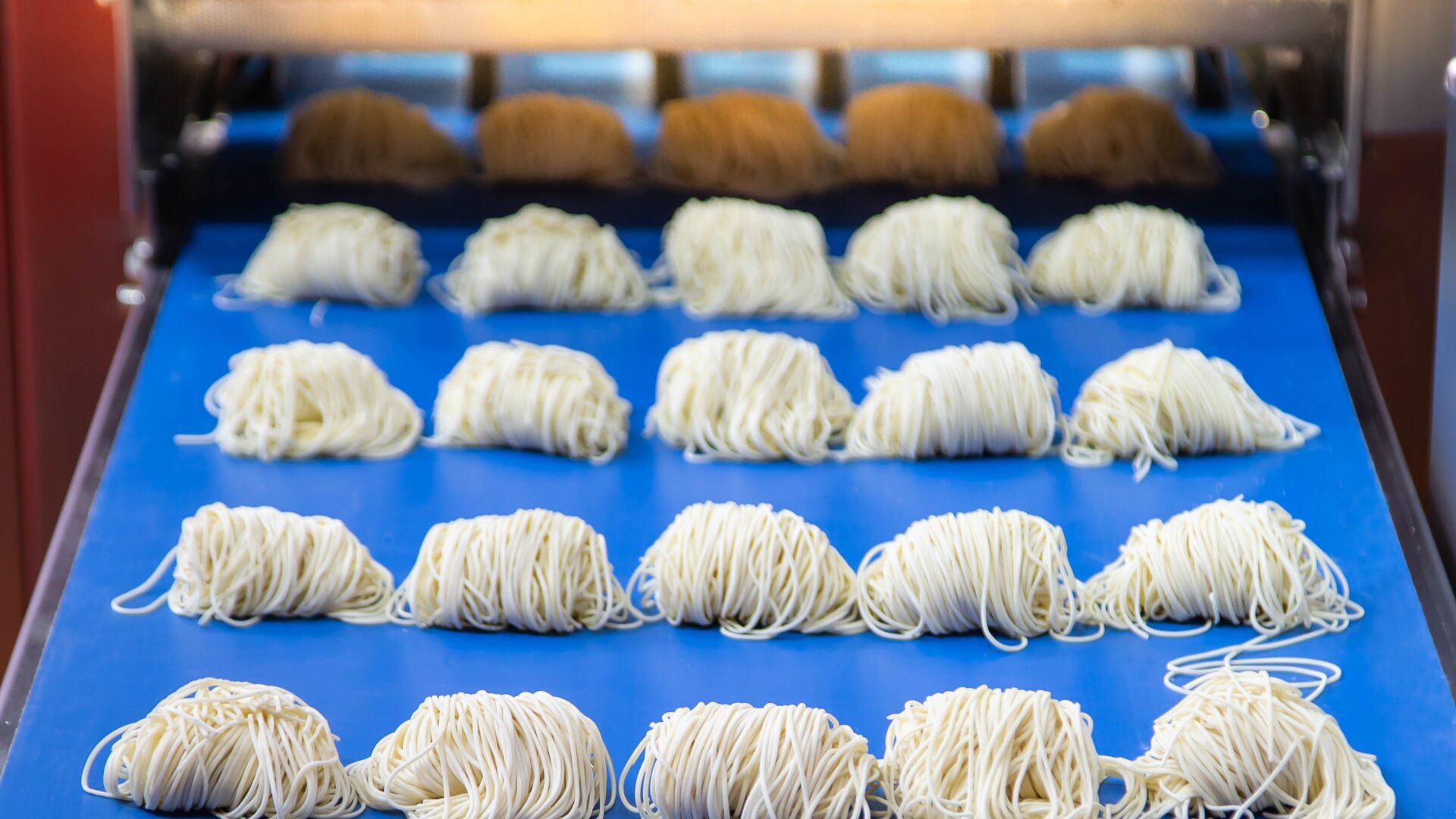 Bunches of raw noodles are arranged neatly in rows on a blue conveyor belt, moving through a machine in a food processing facility.