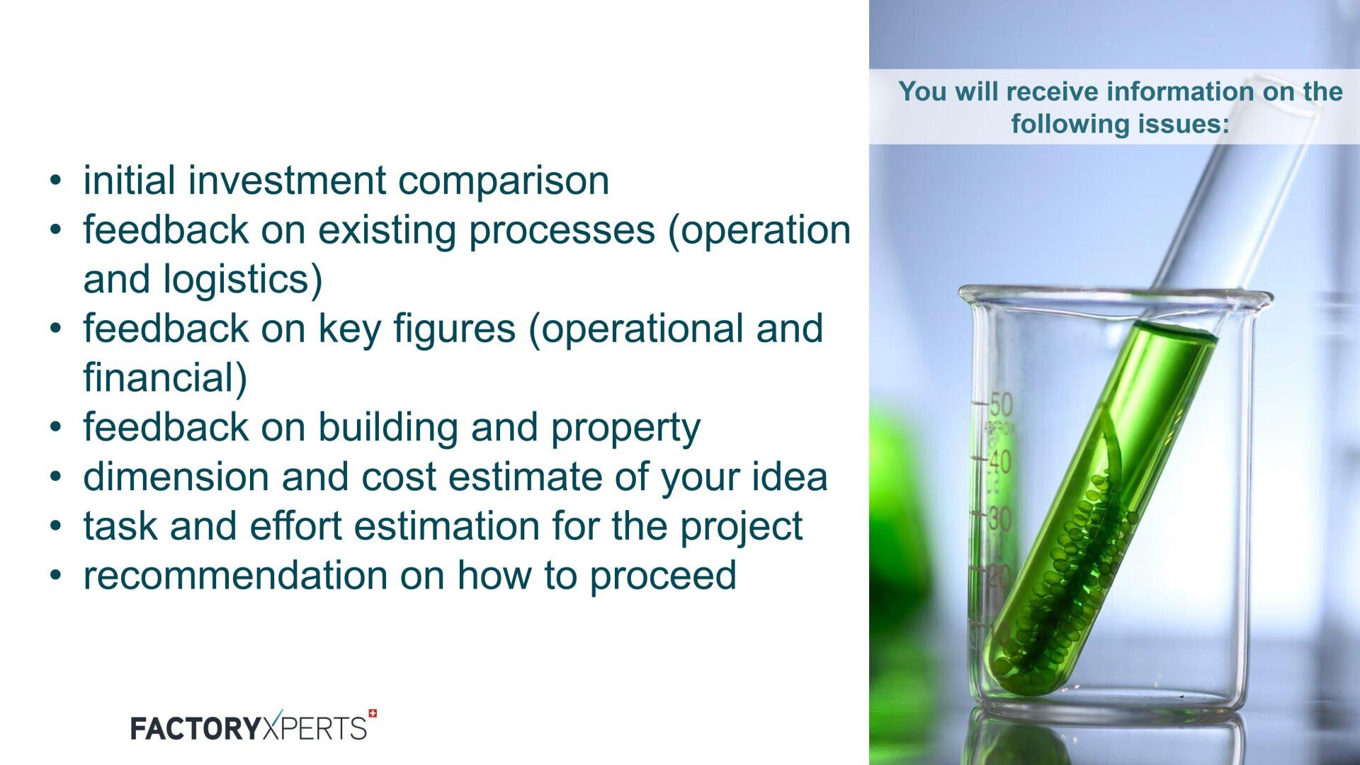 A list of consultation topics appears next to a beaker containing a green liquid and a test tube. The topics include investment comparison, feedback on processes, costs, and project recommendations. FactoryExperts logo is at the bottom.