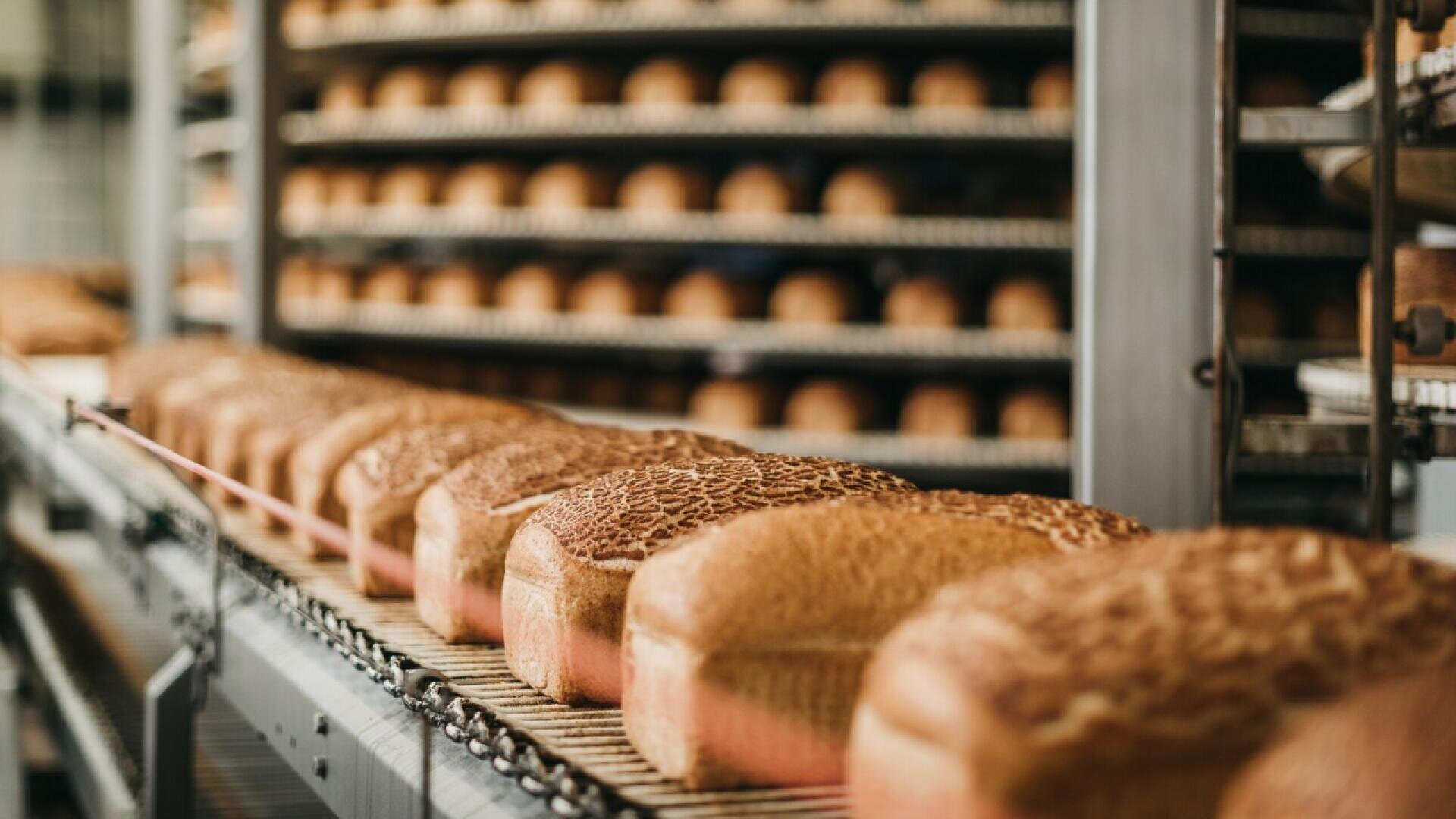 Rows of freshly baked loaves of bread move along a conveyor belt in a bakery, with racks full of more bread loaves visible in the background.