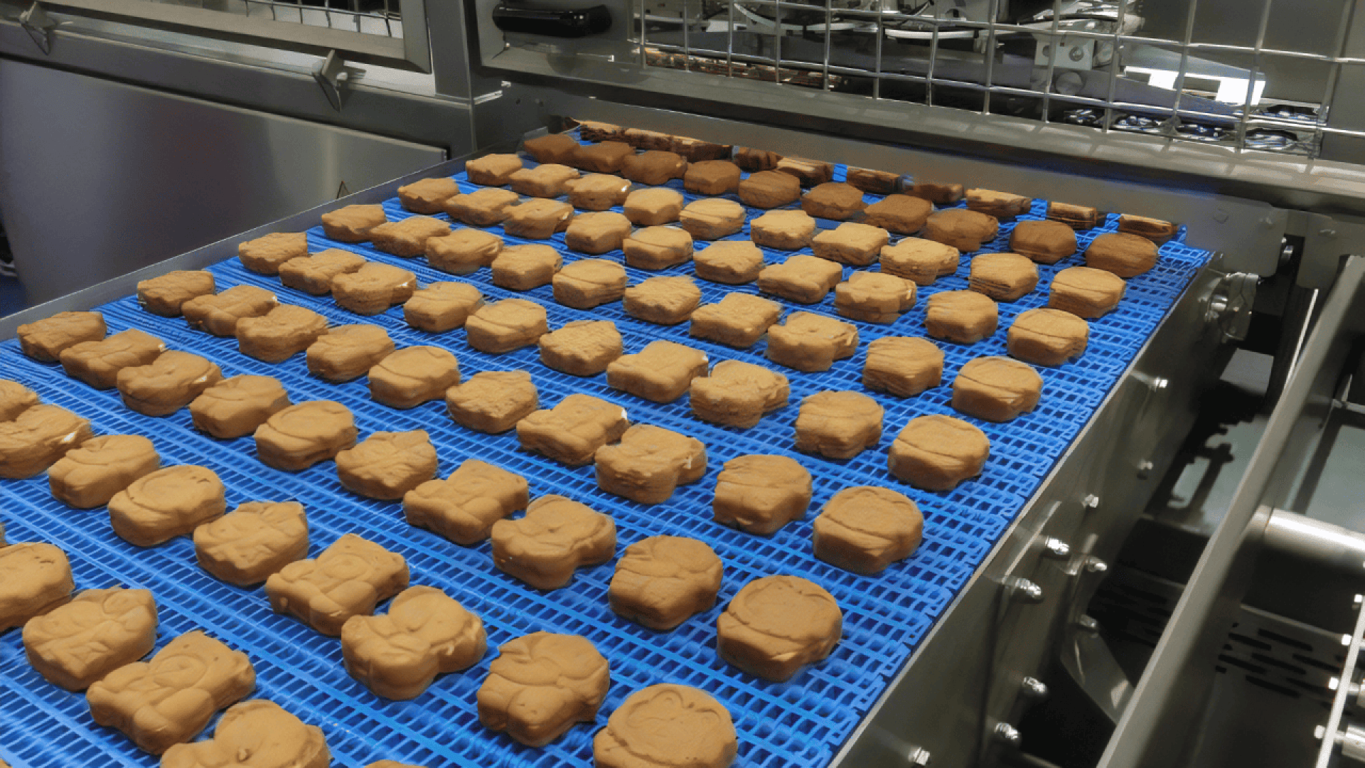 Rows of animal-shaped cookies on a blue conveyor belt move through a metal industrial machine in a food processing facility.