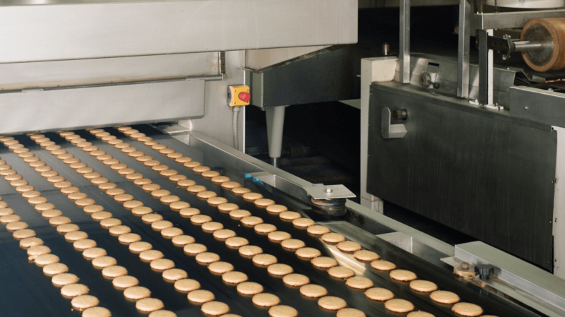 Reihen von runden Keksen laufen über ein Förderband in einer Lebensmittelfabrik, umgeben von industriellen Backmaschinen und Metallgeräten.