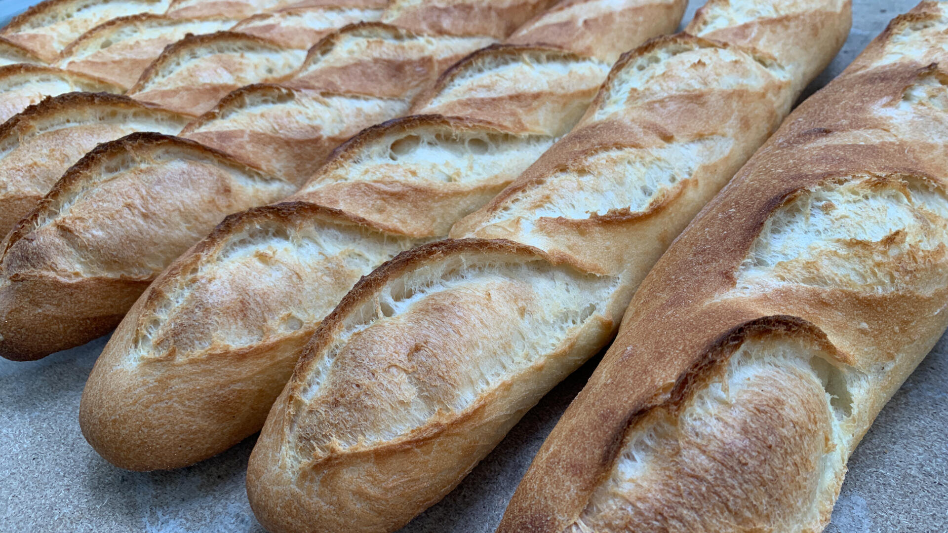 Mehrere frisch gebackene Baguettes mit goldener, knuspriger Kruste liegen in Reihen auf einer ebenen Fläche. Das Brot hat charakteristische diagonale Einschnitte und sieht warm und einladend aus.