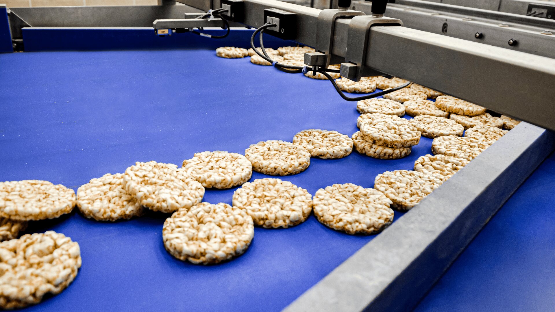 Round rice cakes move along a blue conveyor belt in a food processing factory, with machinery positioned above the belt.