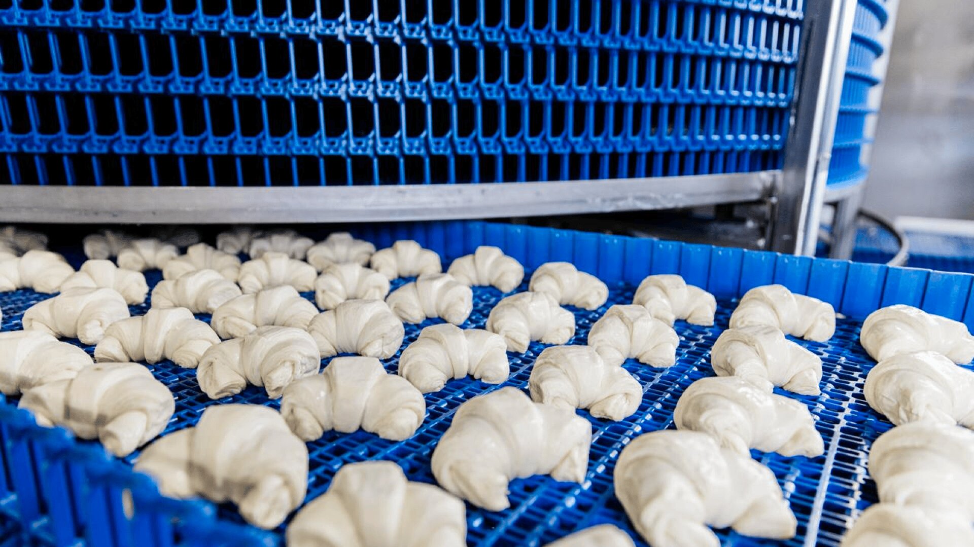 Rows of unbaked croissants rest on blue trays, moving along an industrial conveyor system inside a modern bakery production facility.