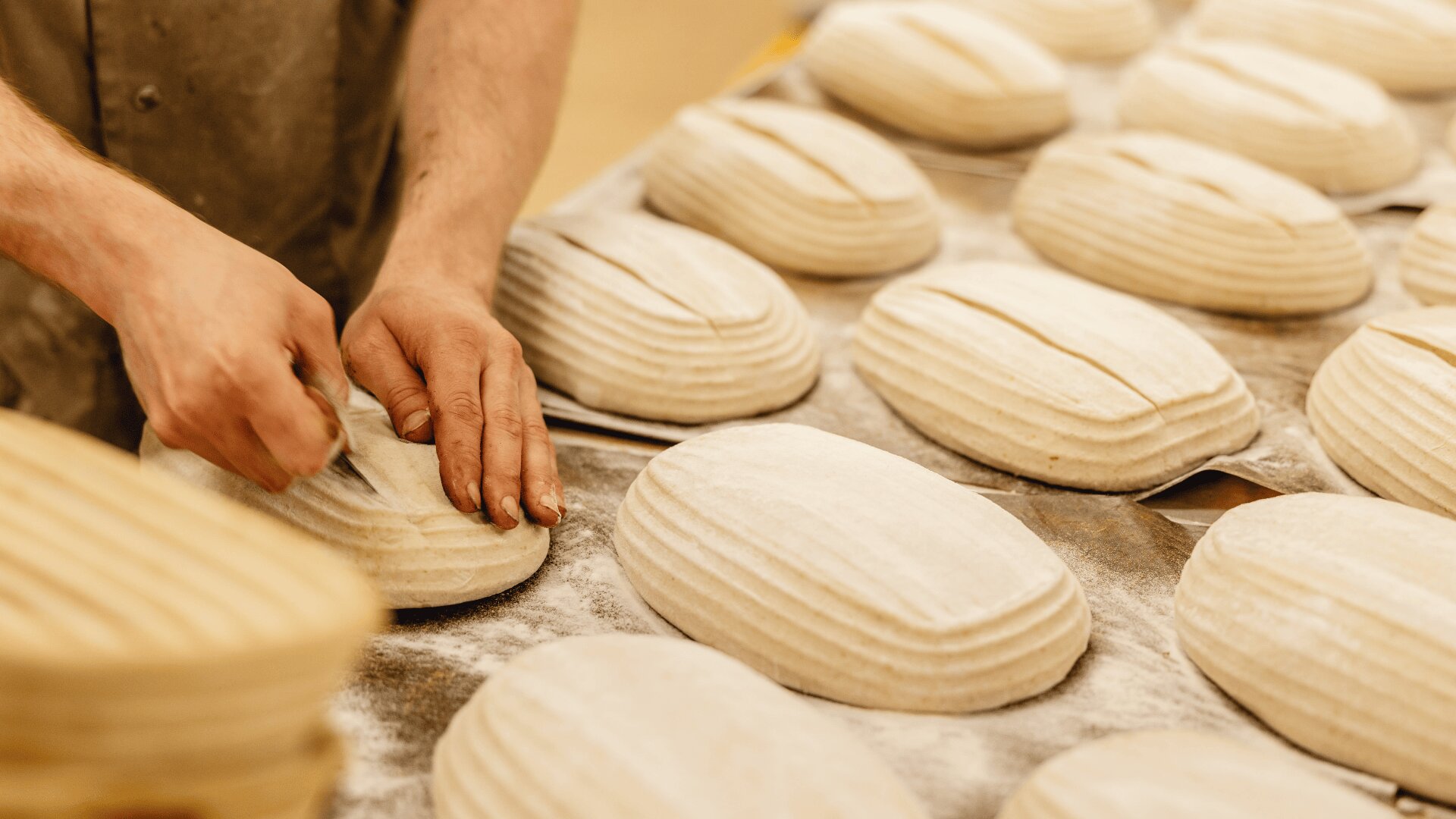Eine Person ritzt mit einem Messer die Oberseiten mehrerer ovaler Brotlaibe ein, die auf einer bemehlten Fläche aufgereiht sind, um sie zum Backen vorzubereiten.