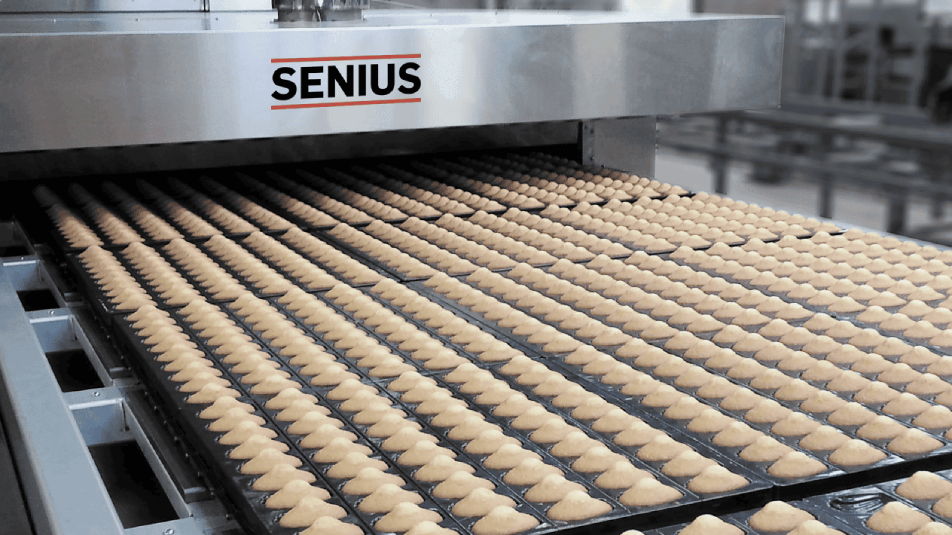 Rows of small, uniform dough pieces are moving on a conveyor belt into a large industrial oven labeled SENIUS in a commercial bakery setting.