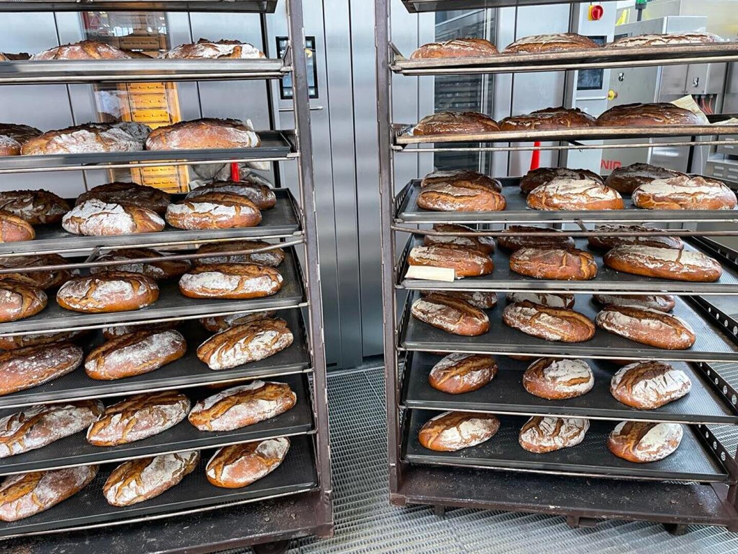 Two racks filled with large, round loaves of crusty bread cooling in a commercial bakery setting, with industrial ovens and equipment visible in the background.