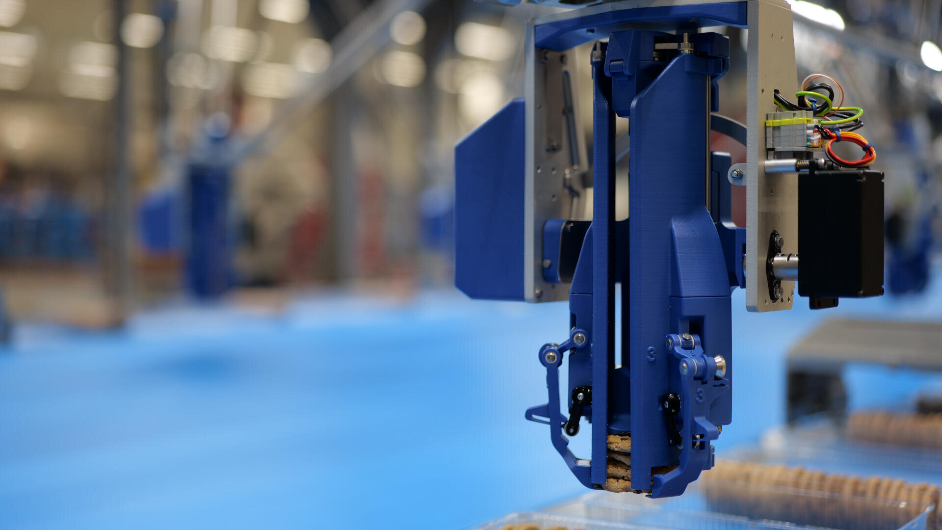 A close-up of a blue robotic arm with a gripper picking up biscuits on a conveyor belt in a modern, automated food processing facility.