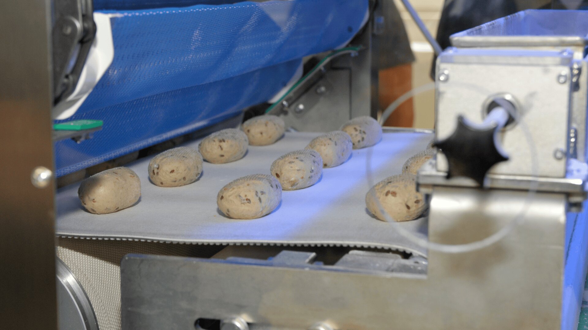 Rows of unbaked bread rolls on a conveyor belt move through bakery machinery for automated processing.