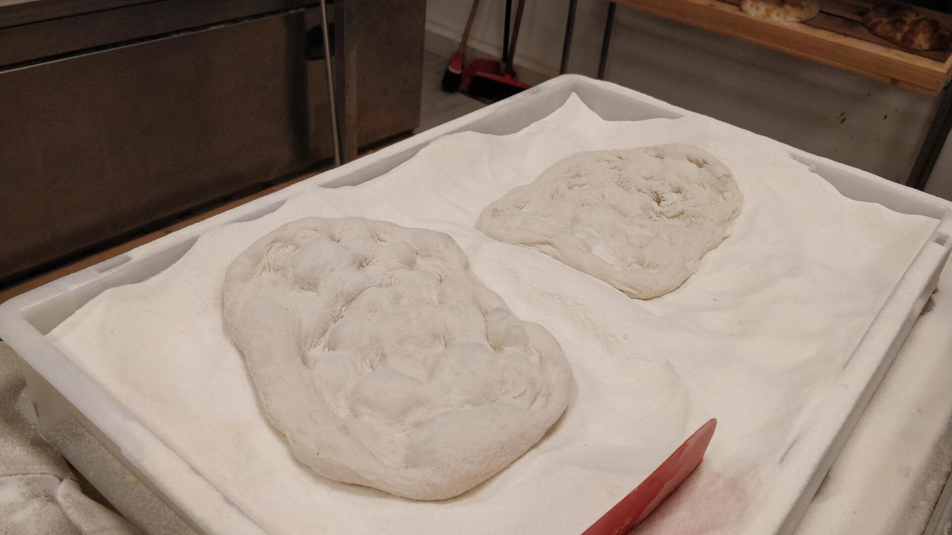 Two pieces of raw dough rest on a bed of flour in a large tray, with a red plastic scraper nearby. A metal cabinet and shelves with baked goods are visible in the background.