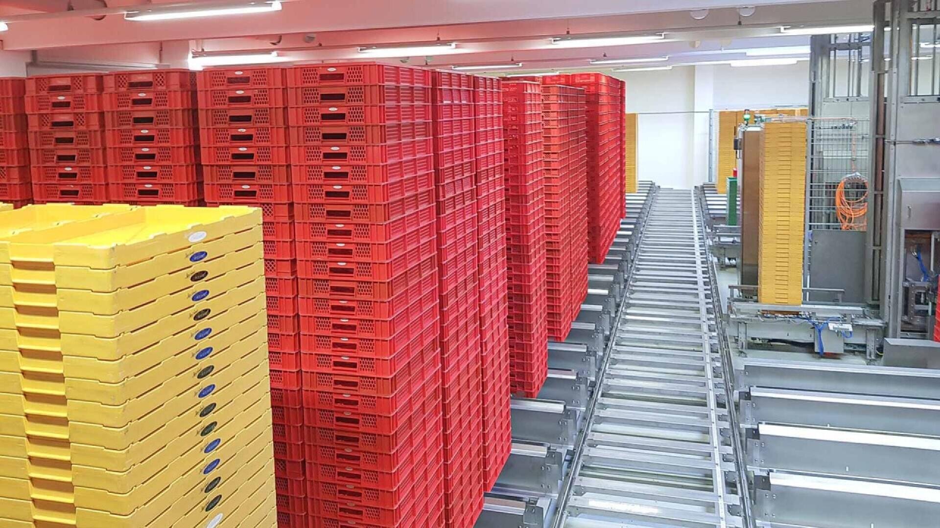 Stacks of red and yellow plastic trays are arranged beside a conveyor system in a brightly lit industrial facility, likely used for food processing or packaging.