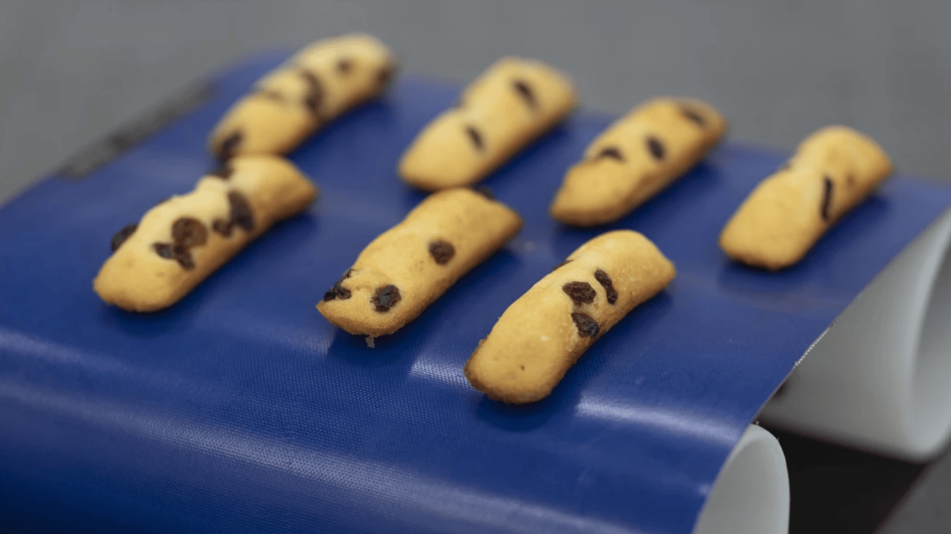 Seven small, oblong chocolate chip cookies are spaced apart on a blue conveyor belt, ready for packaging or further processing.