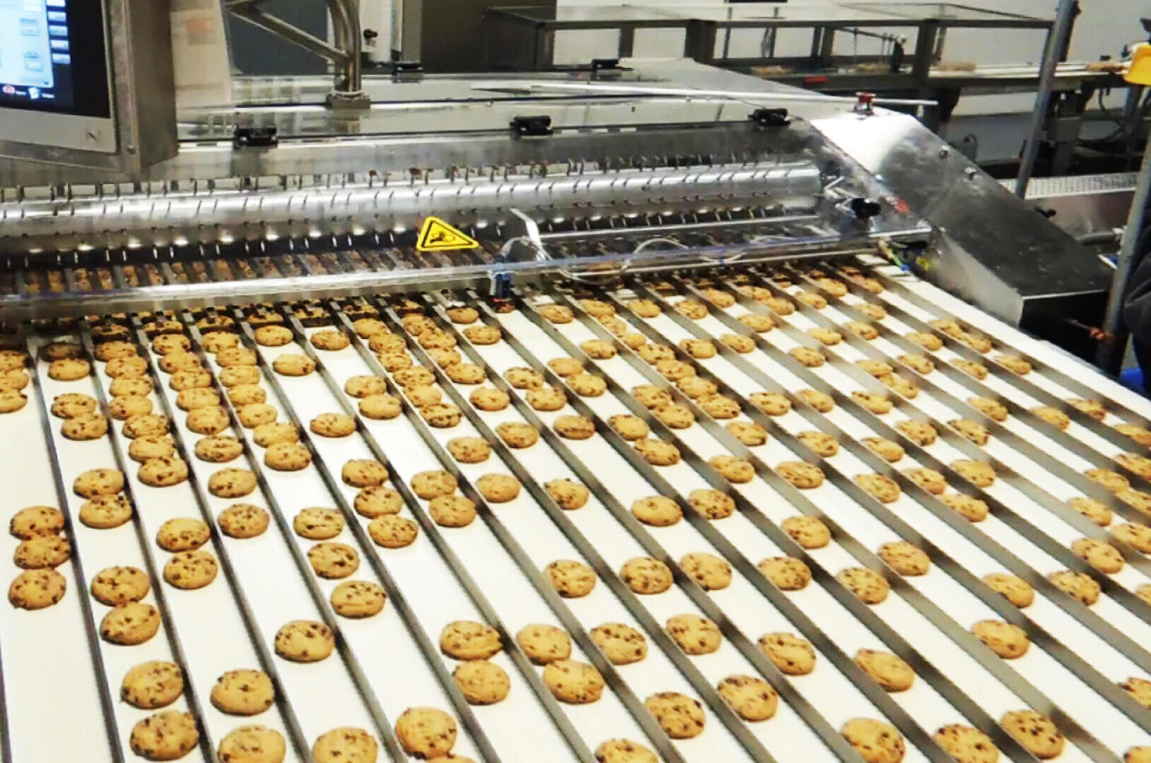 Rows of chocolate chip cookies move along a conveyor belt in a large industrial bakery, with metal machinery sorting and processing the cookies.