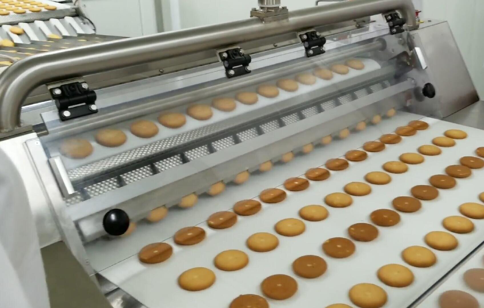Rows of round cookies move along a conveyor belt in a factory, passing through a metal machine as part of an automated baking or production process.