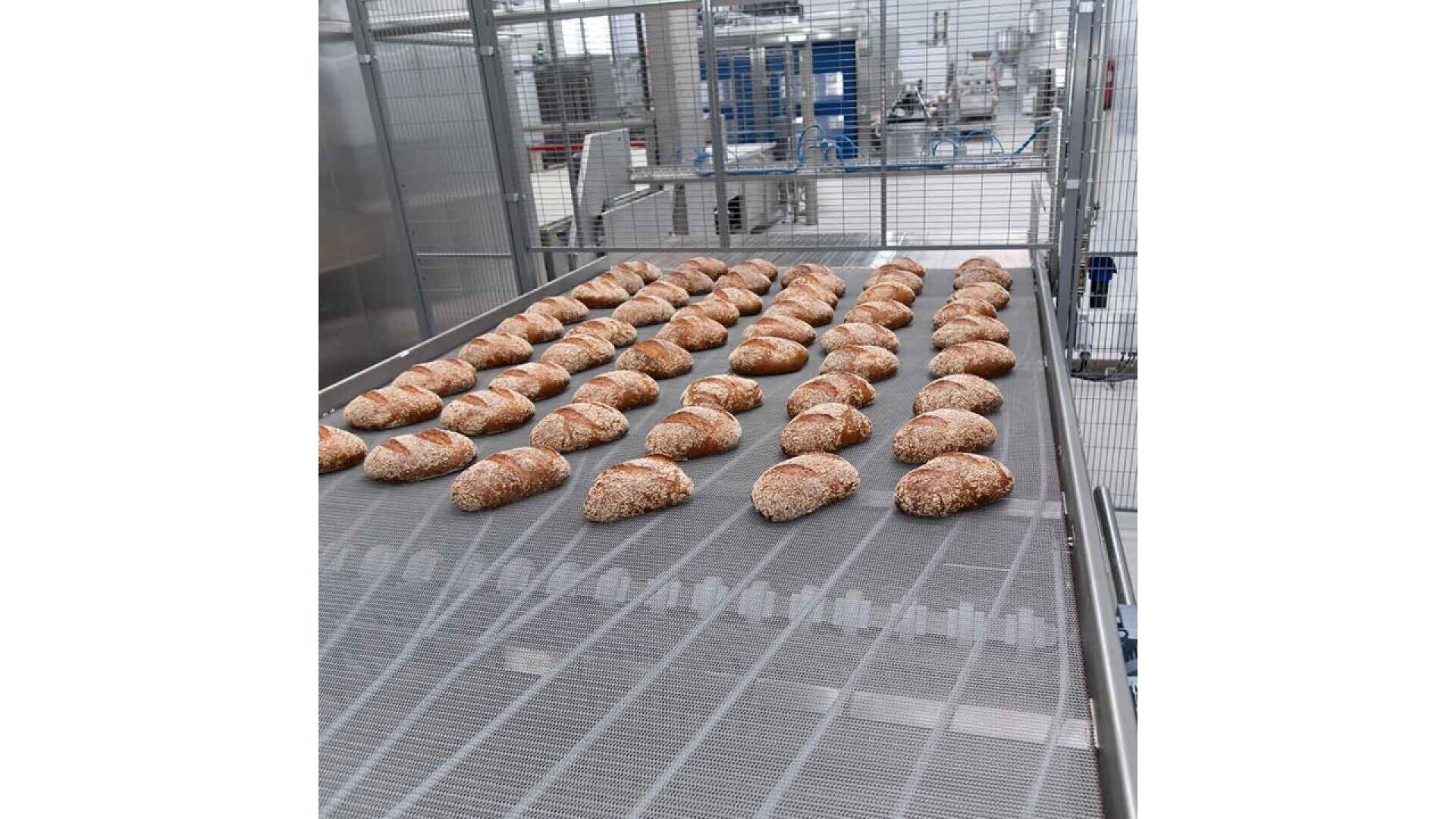 Several rows of seeded bread loaves are cooling on a metal conveyor belt inside a large, modern bakery facility with industrial equipment in the background.