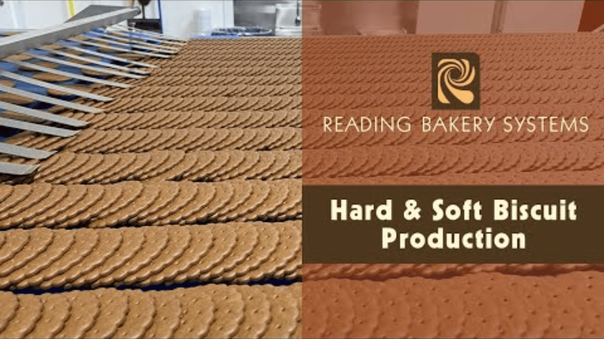 Rows of brown cookies move along a conveyor belt in a factory. The text reads READING BAKERY SYSTEMS and Hard & Soft Biscuit Production with a logo above the text.