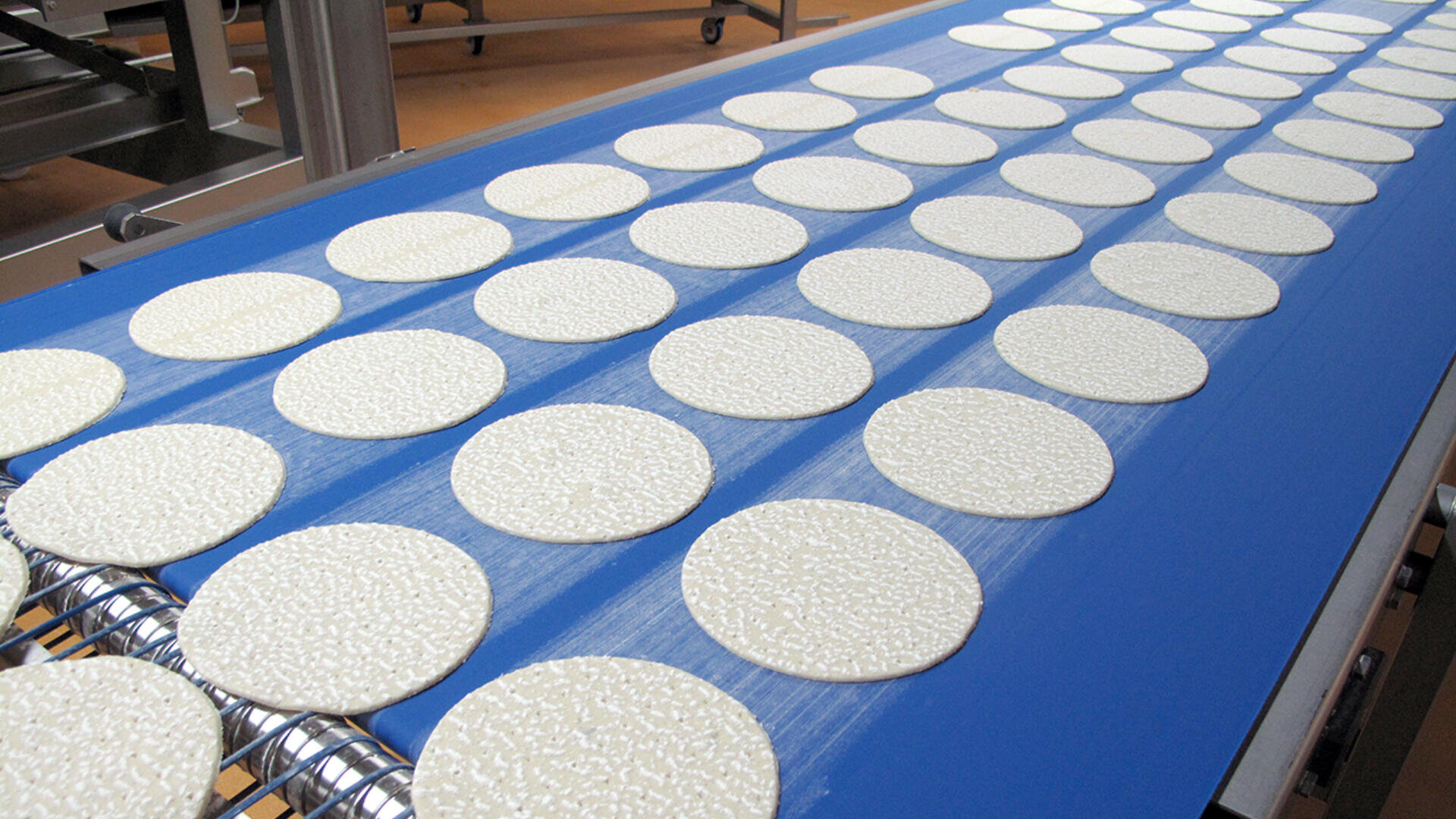 Rows of round, uncooked rice cakes are neatly arranged on a blue conveyor belt in a food processing facility.