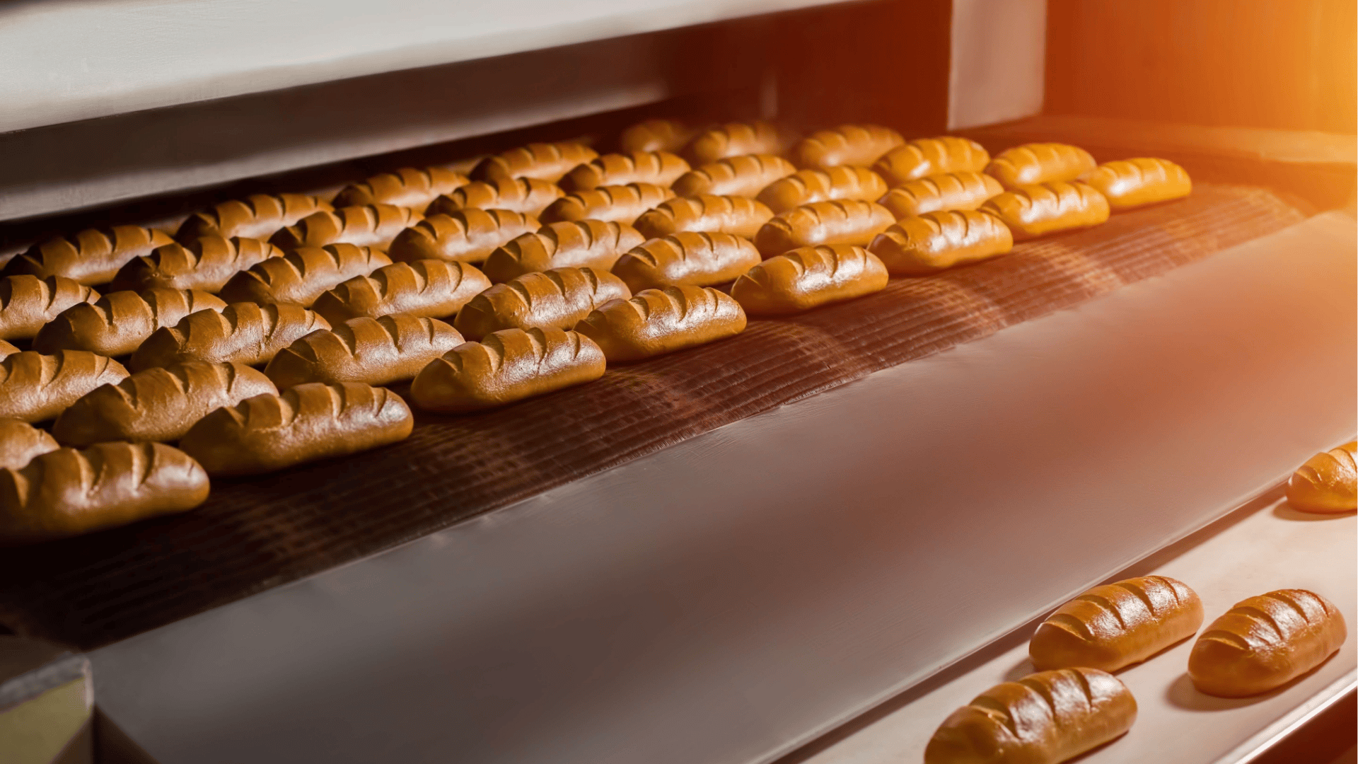 Reihen von frisch gebackenen Broten auf einem Fließband in einem kommerziellen Bäckereiofen, die Szene wird von warmem Licht beleuchtet.