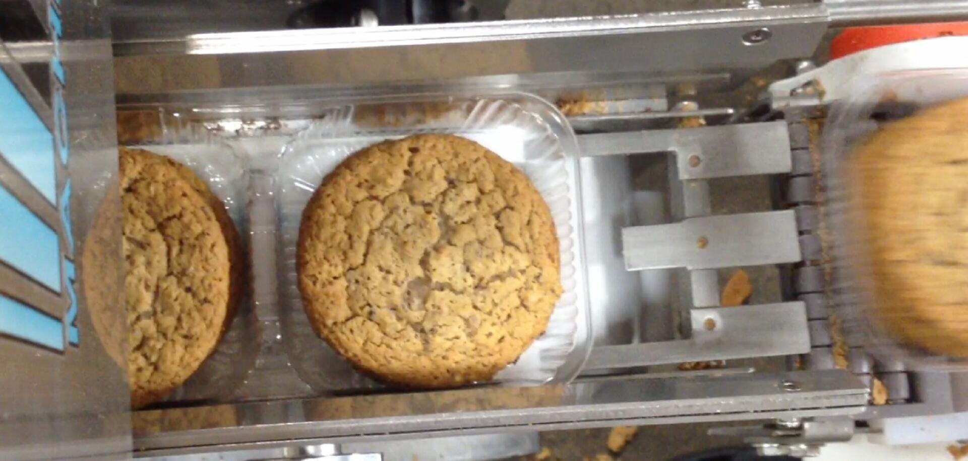 Close-up of round cookies on a conveyor belt in a packaging machine, with each cookie placed in a clear plastic tray. The process appears automated and is part of a food production line.