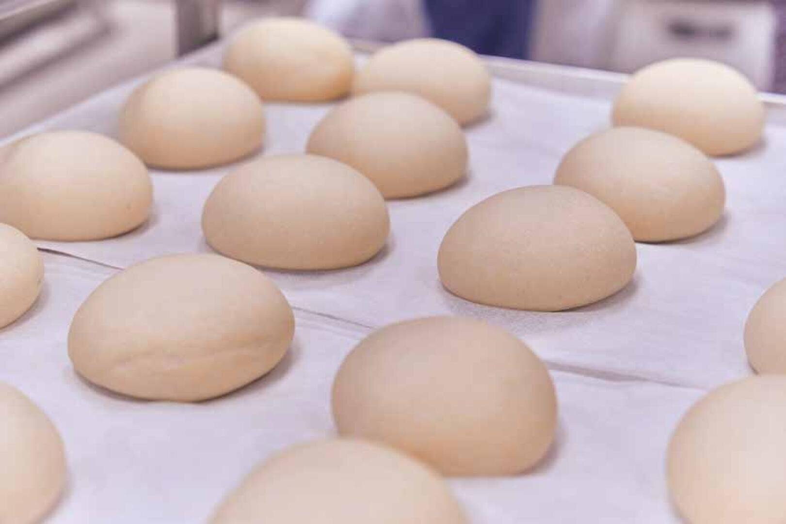 Mehrere runde, glatte Teigkugeln werden gleichmäßig auf einem mit Pergamentpapier ausgelegten Backblech verteilt und können nun gebacken werden.