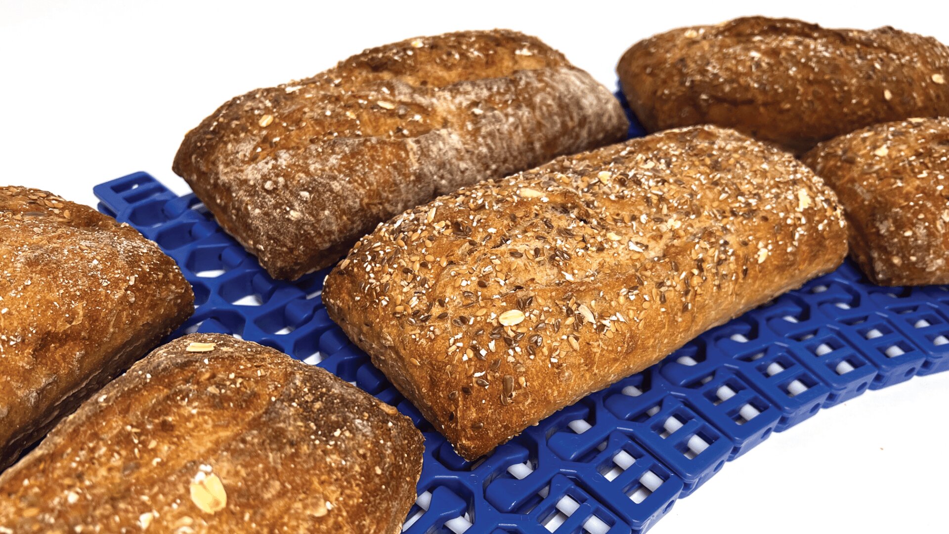 Mehrere rechteckige Laibe Mehrkornbrot mit Körnern liegen auf einem blauen Abkühlgitter aus Kunststoff vor einem weißen Hintergrund.