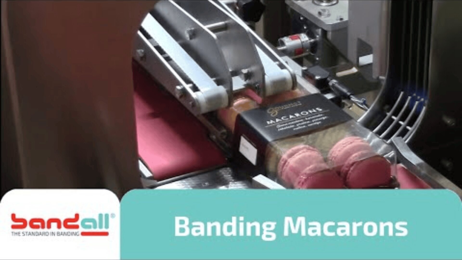 Eine Verpackungsmaschine banderoliert eine Schachtel mit sortierten Macarons. Die Schachtel bewegt sich auf einem Förderband, während rosa Macarons zu sehen sind und das Bandall-Logo mit dem Text "Banding Macarons" unten erscheint.