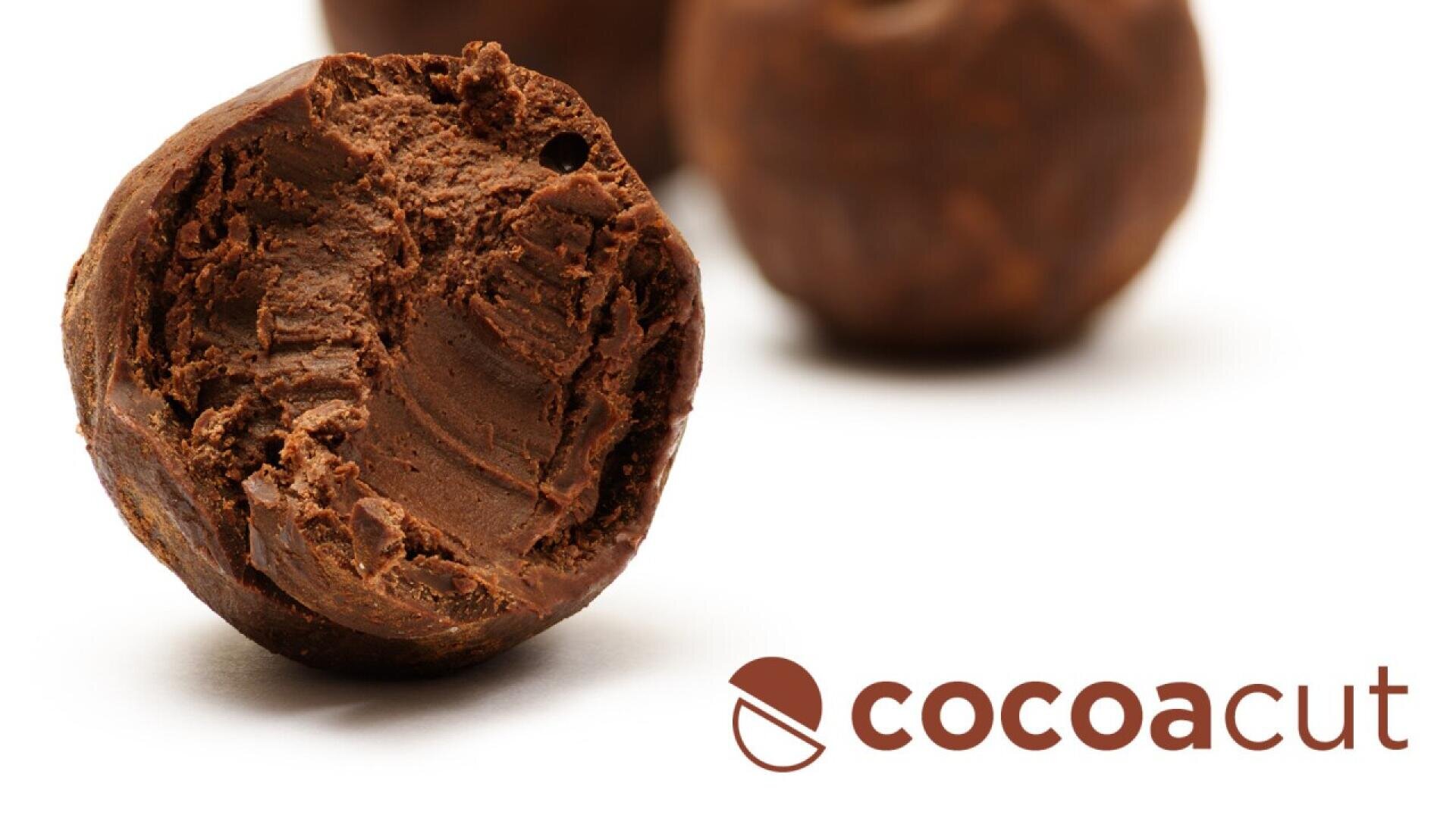 A close-up of a bitten chocolate truffle with a smooth, rich interior. Two whole truffles are blurred in the background. The word “cocoacut” with a cocoa bean logo is displayed in the lower right corner.