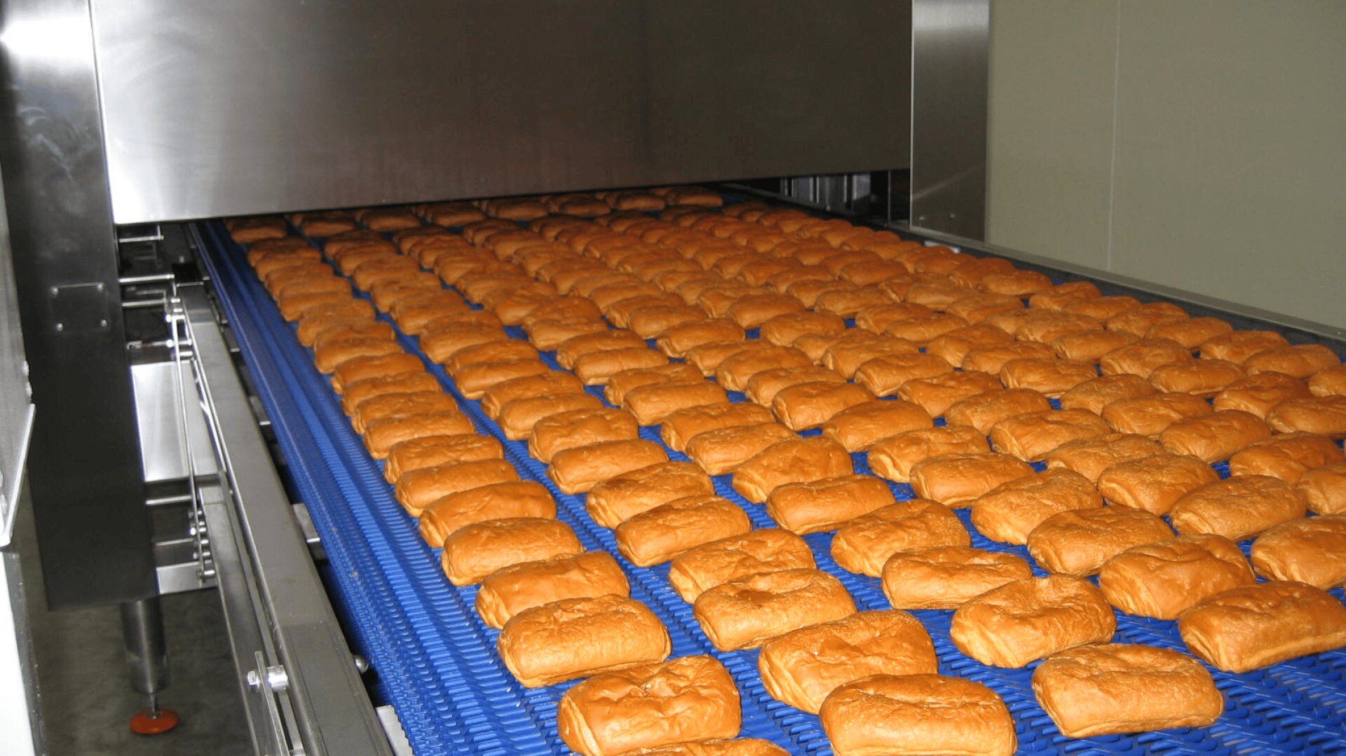 Rows of evenly spaced bread rolls move along a blue conveyor belt inside an industrial bakery, passing under a large metal machine for processing or baking.