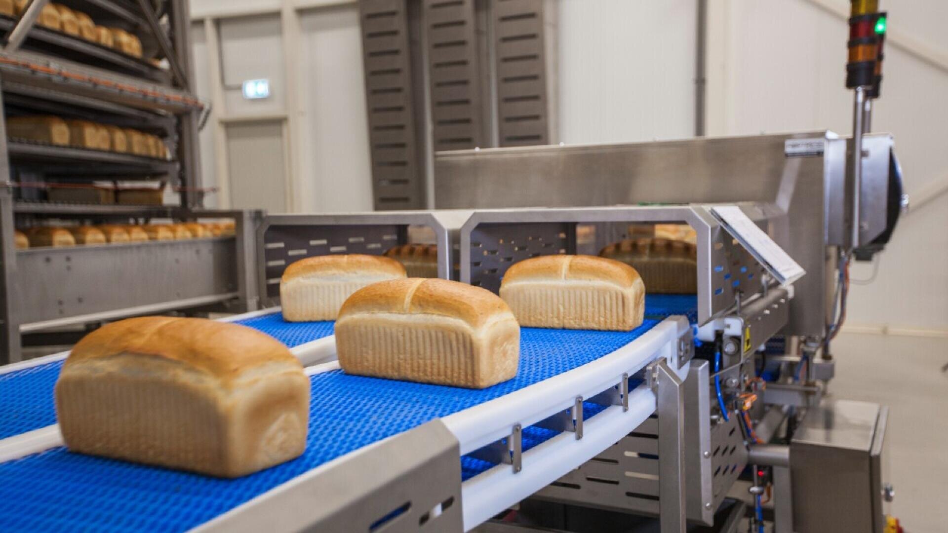 In einer industriellen Bäckerei laufen Brotlaibe über ein blaues Förderband, im Hintergrund sind Metallmaschinen und Regale mit zusätzlichem Brot zu sehen.