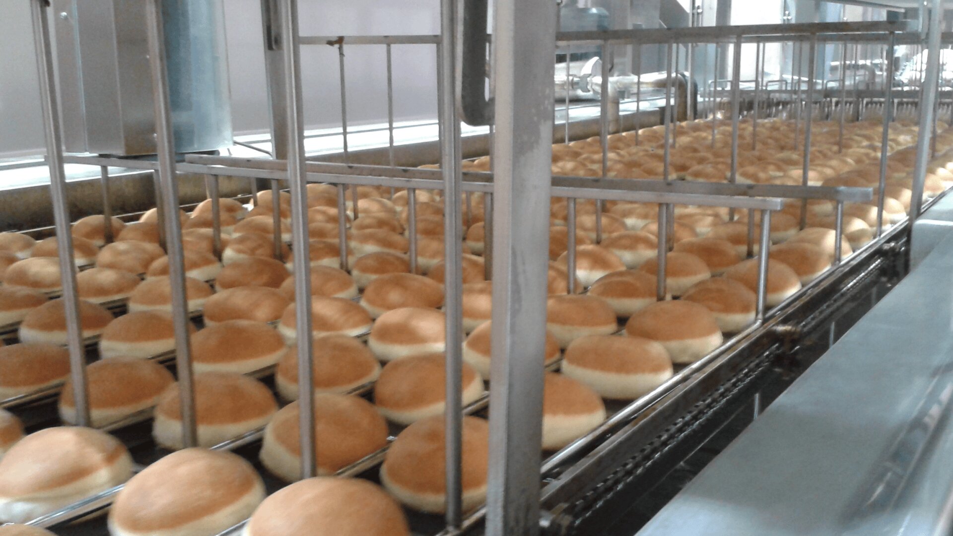 Rows of freshly baked hamburger buns move along a conveyor belt in an industrial bakery, with metal bars guiding them through the production process.