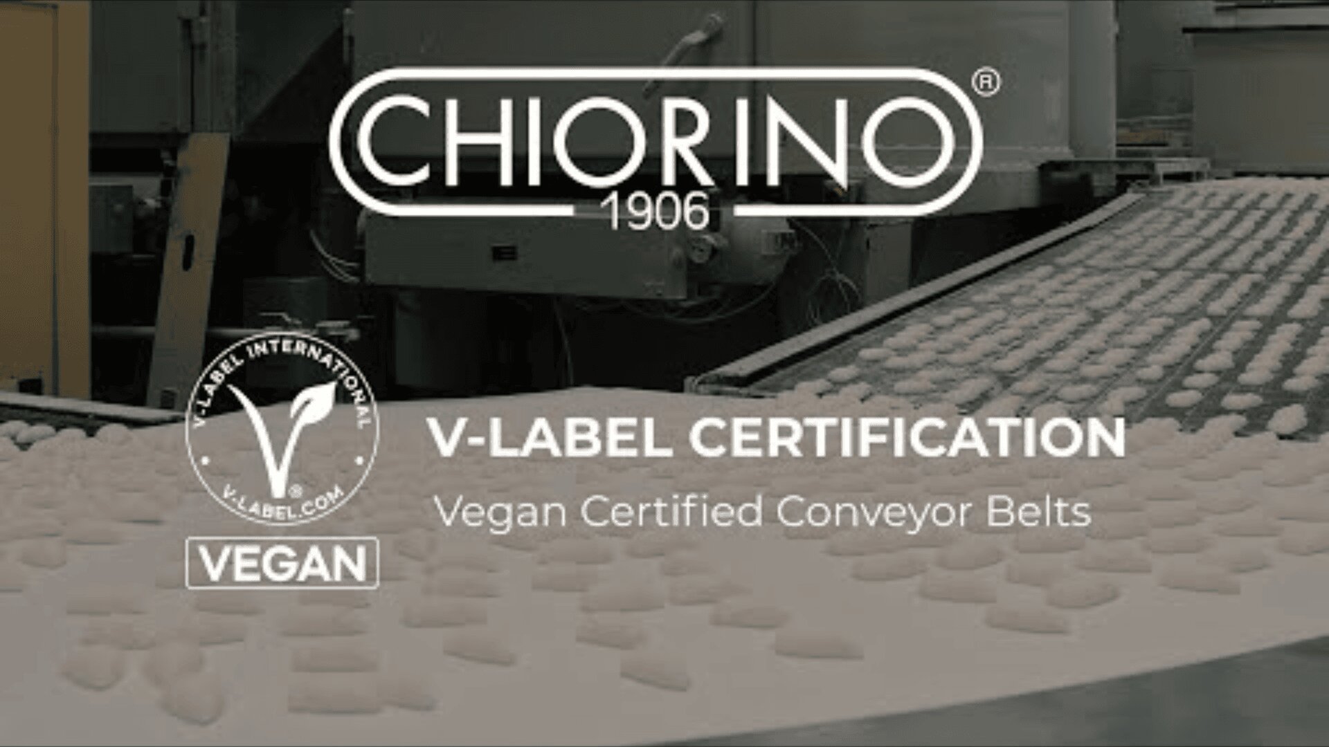 Conveyor belts with small white items in a factory. Text reads: “Chiorino 1906. V-Label Certification. Vegan Certified Conveyor Belts.” V-Label International vegan logo is also shown.