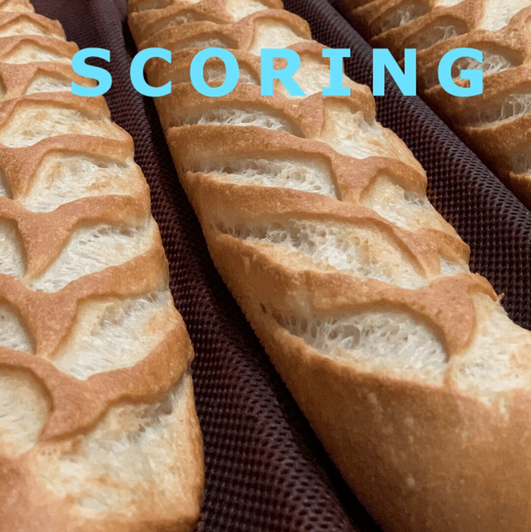 Three baguettes with distinct, decorative cuts on their crusts are placed on a baking tray. The word SCORING appears in large, blue letters at the top of the image.