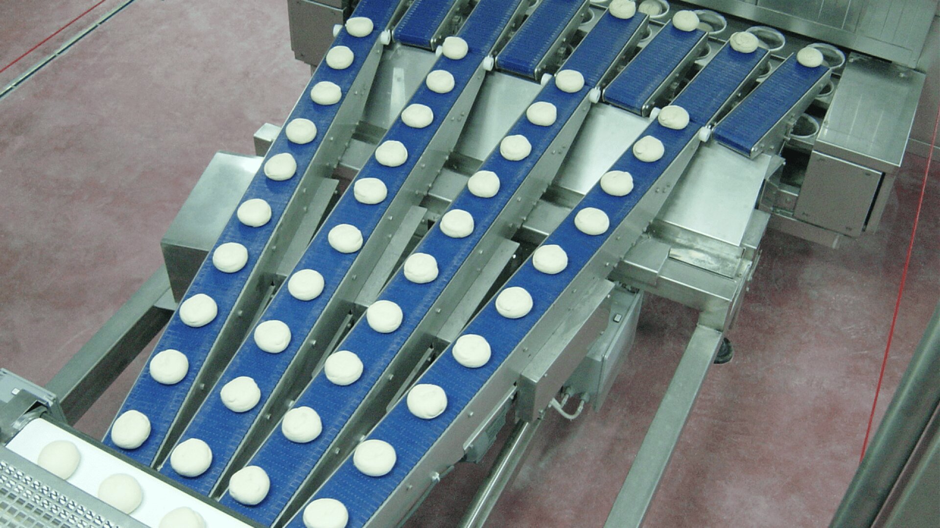 Rows of small, round dough balls move along parallel blue conveyor belts in a food processing facility. The machinery is metallic, and the floor appears clean and pinkish.