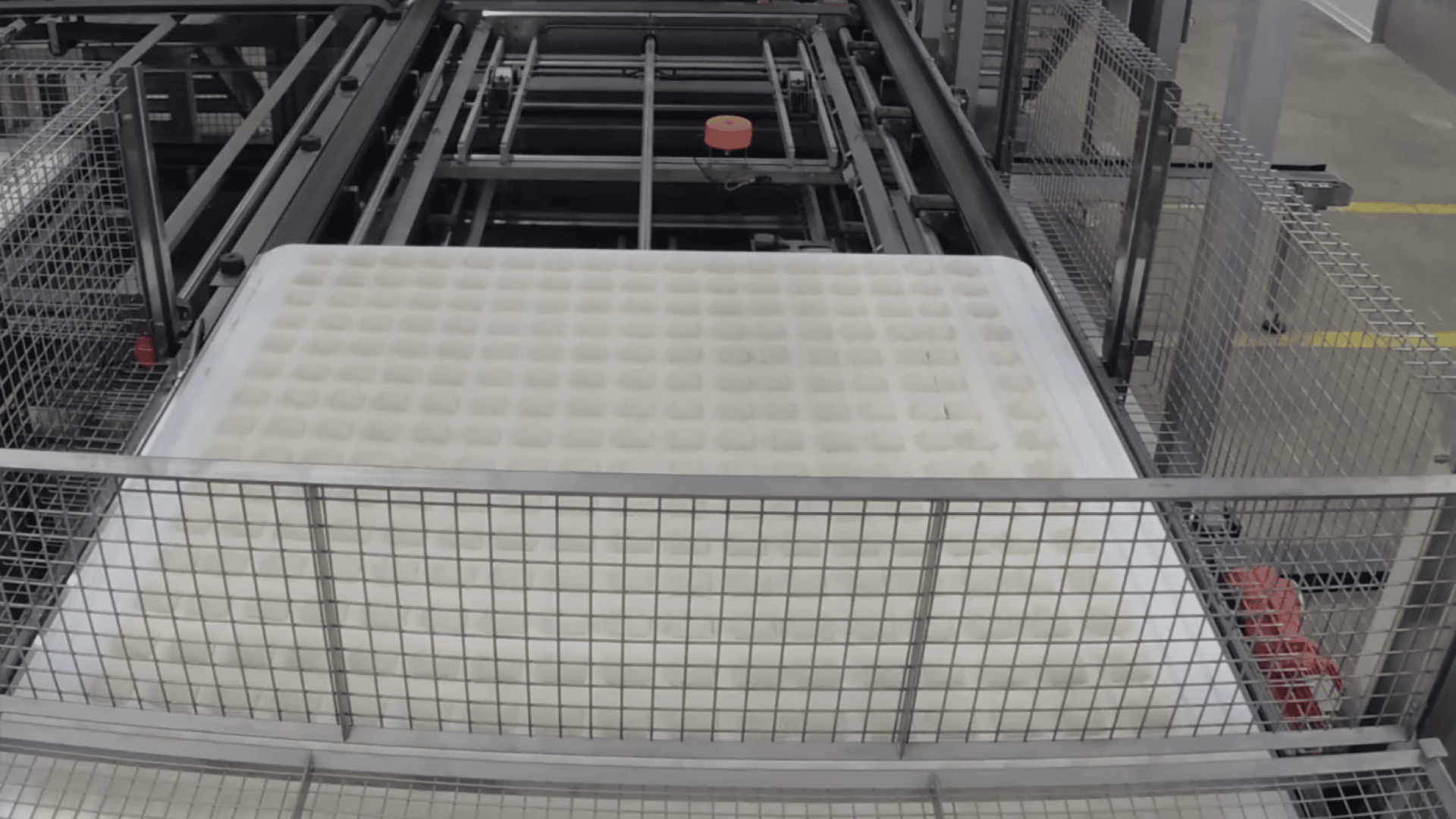 A large industrial machine holds a metal-framed tray filled with evenly spaced, round, white objects, possibly food items, surrounded by metal mesh barriers.