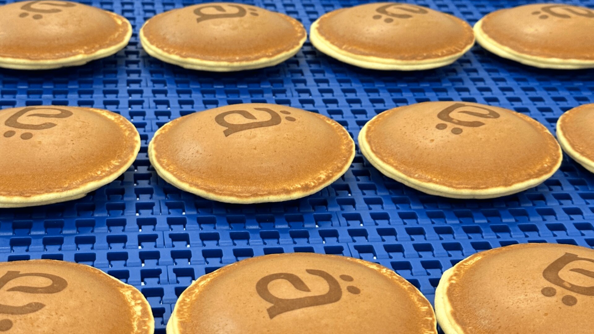Rows of evenly spaced, round pancakes with a brown swirl design on top are placed on a blue perforated tray. The pancakes appear freshly baked and uniform in shape and color.