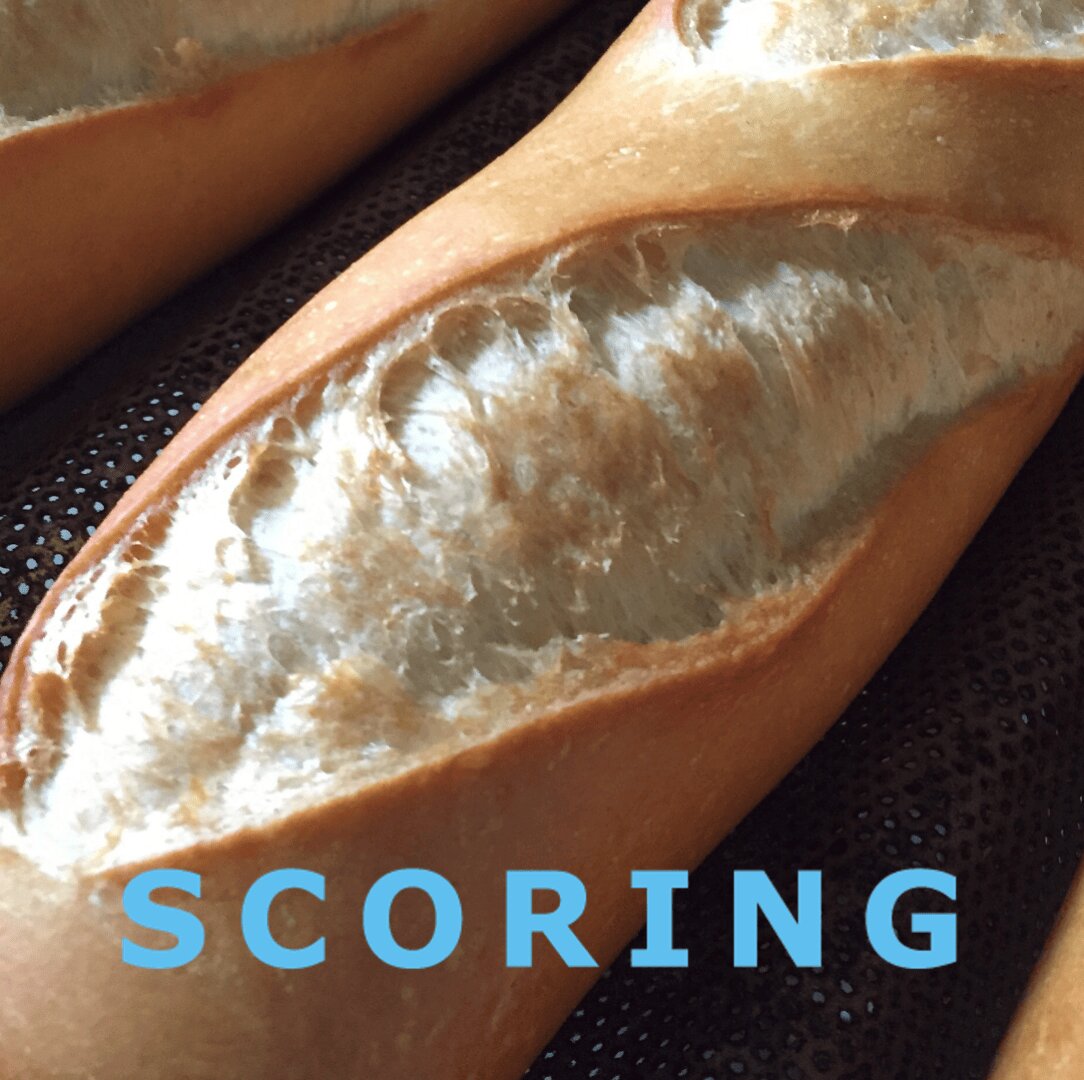 Close-up of two baguettes with crisp, golden crusts and deep diagonal slashes, known as scoring, on a dark baking tray. The word SCORING is overlaid in blue text at the bottom of the image.