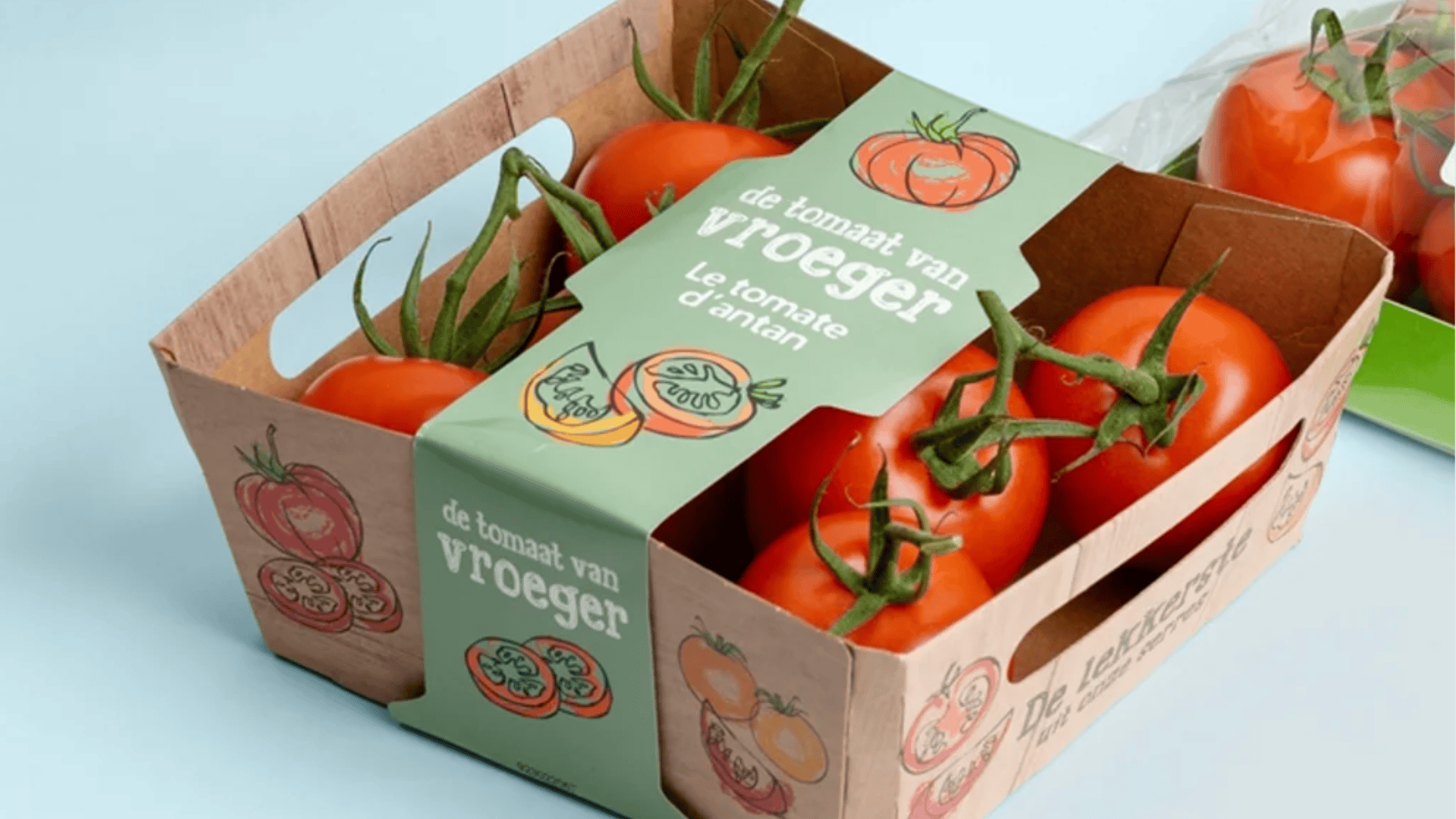 Ein Karton mit Strauchtomaten mit niederländischem und französischem Text und Tomatenabbildungen auf der Verpackung, die auf einer hellblauen Oberfläche dargestellt sind.