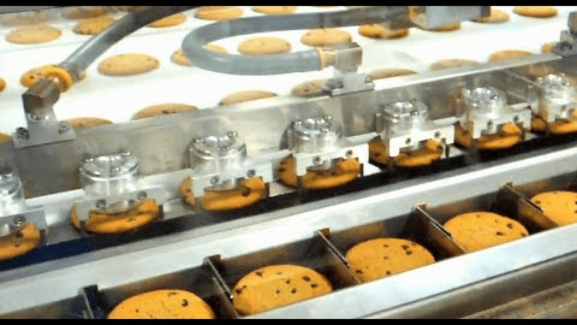 Reihen von Schokokeksen, die von einer automatischen Maschine auf einem Förderband in einer Fabrik verarbeitet und sortiert werden.