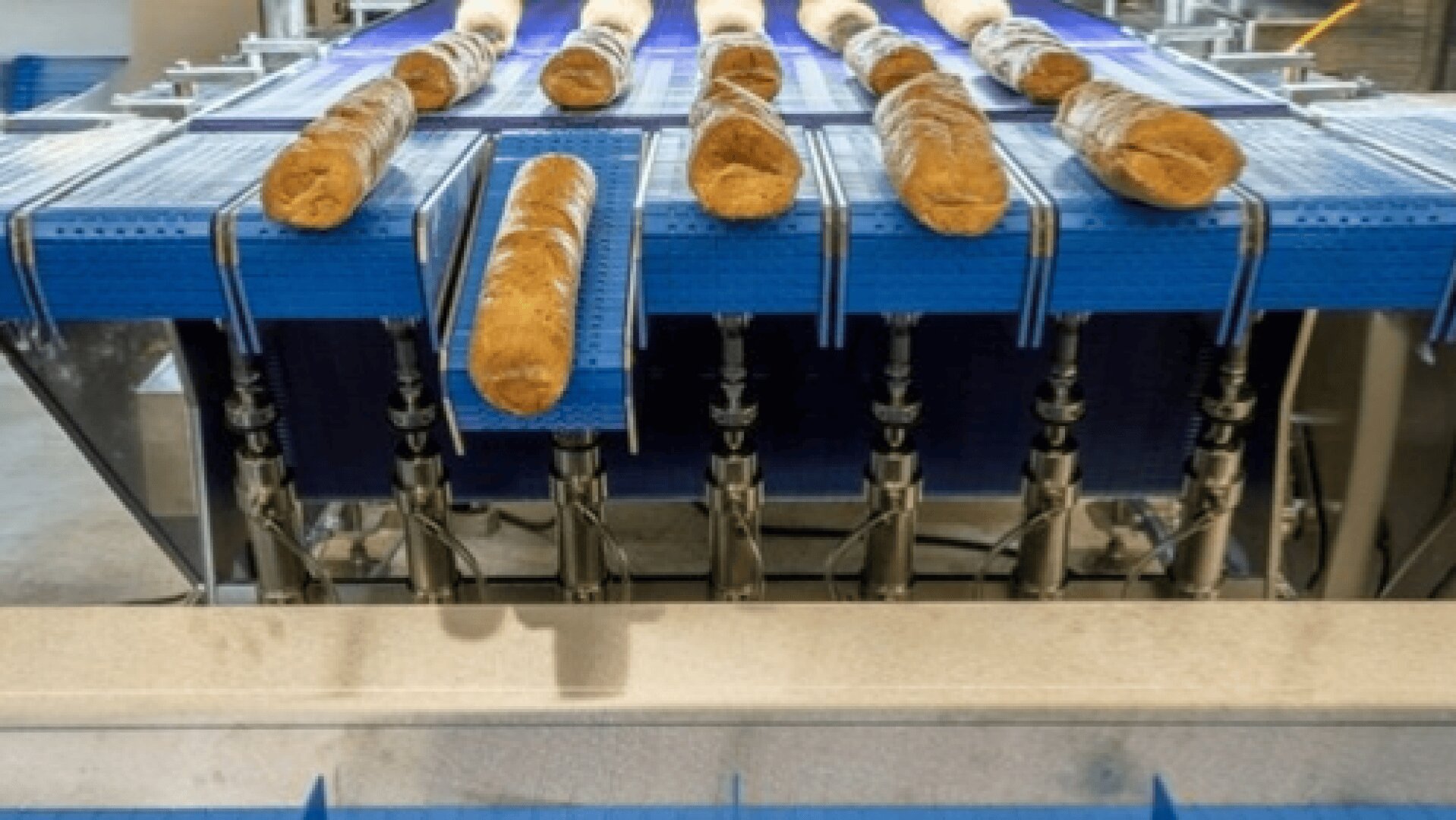 In einer Bäckerei oder einem Lebensmittelverarbeitungsbetrieb werden Brotlaibe auf einem blauen Förderband transportiert, unter dem sich Maschinen zum automatischen Sortieren oder Verpacken befinden.