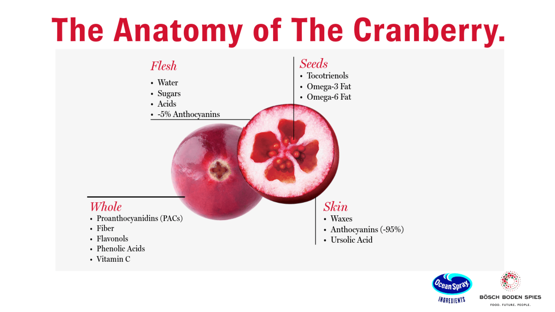 A diagram of a cranberry with labeled sections showing its flesh, seeds, whole, and skin, listing nutrients and compounds found in each part, on a white background with red and black text.